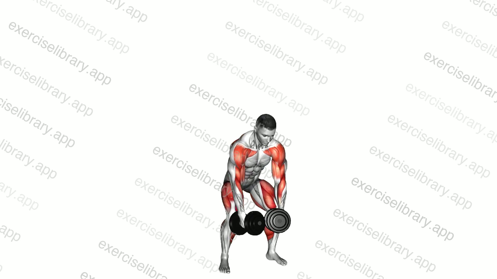 Dumbbell Hang Snatch demonstration