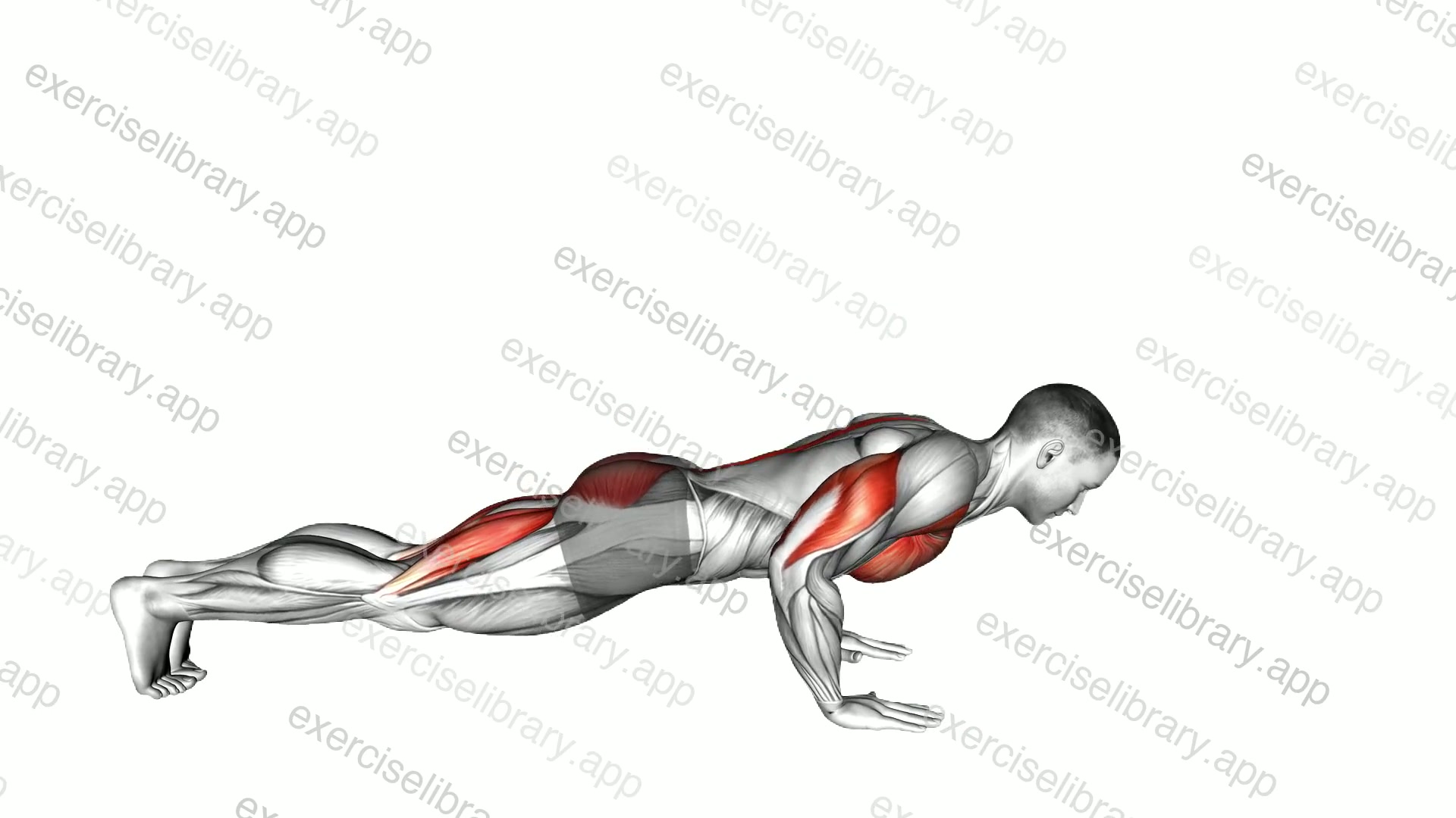 Superman to Push-up demonstration