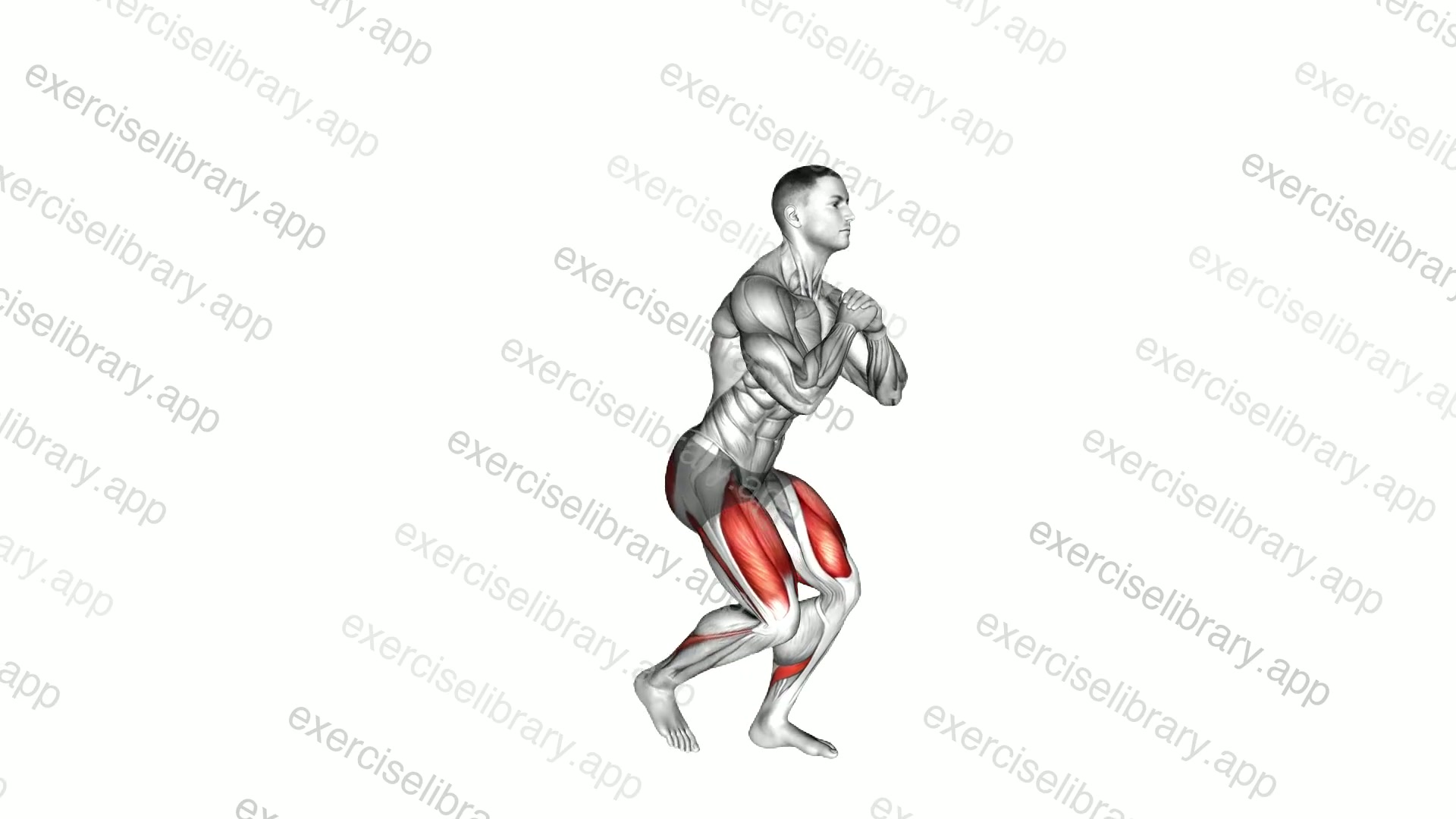 Bodyweight Narrow Squat Lunge demonstration