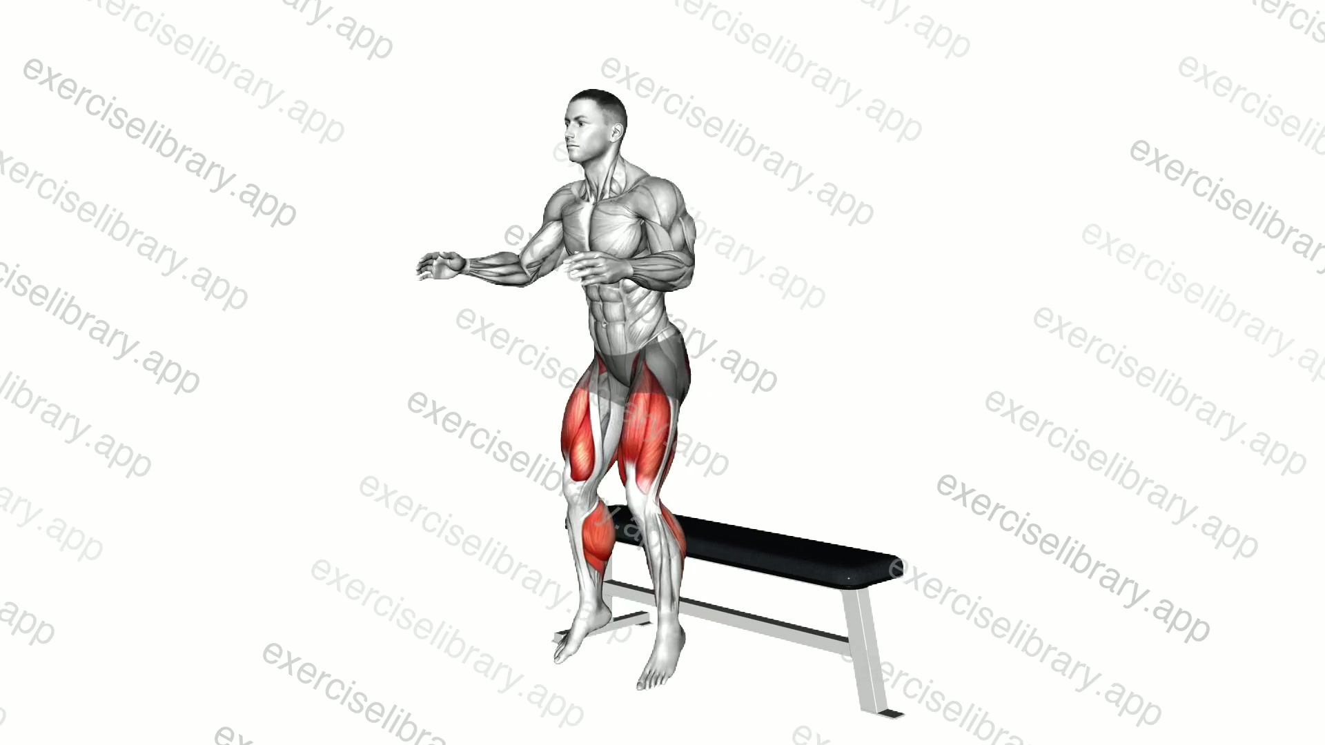 Jump from Seated Position demonstration