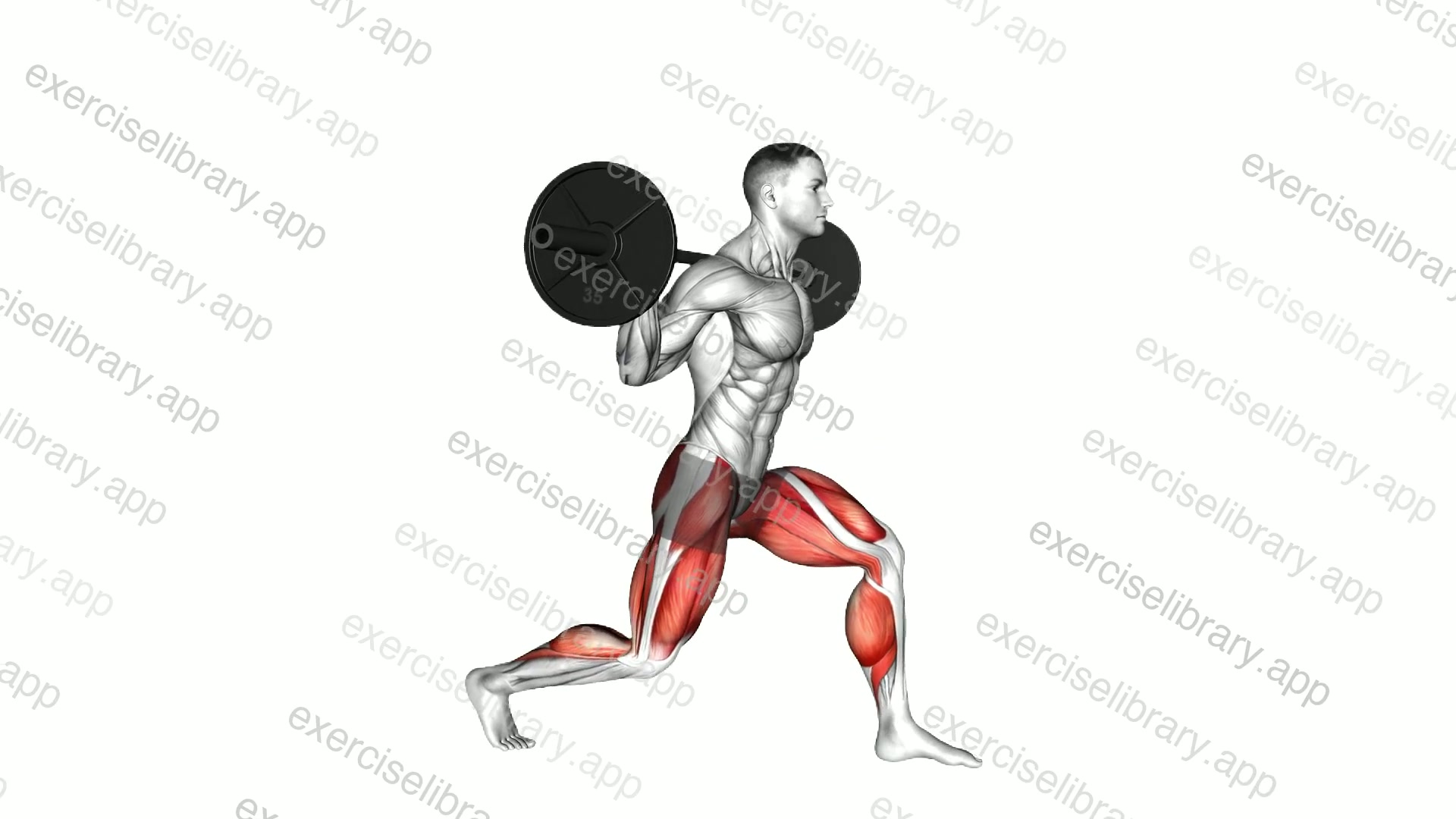 Barbell Static Lunge demonstration