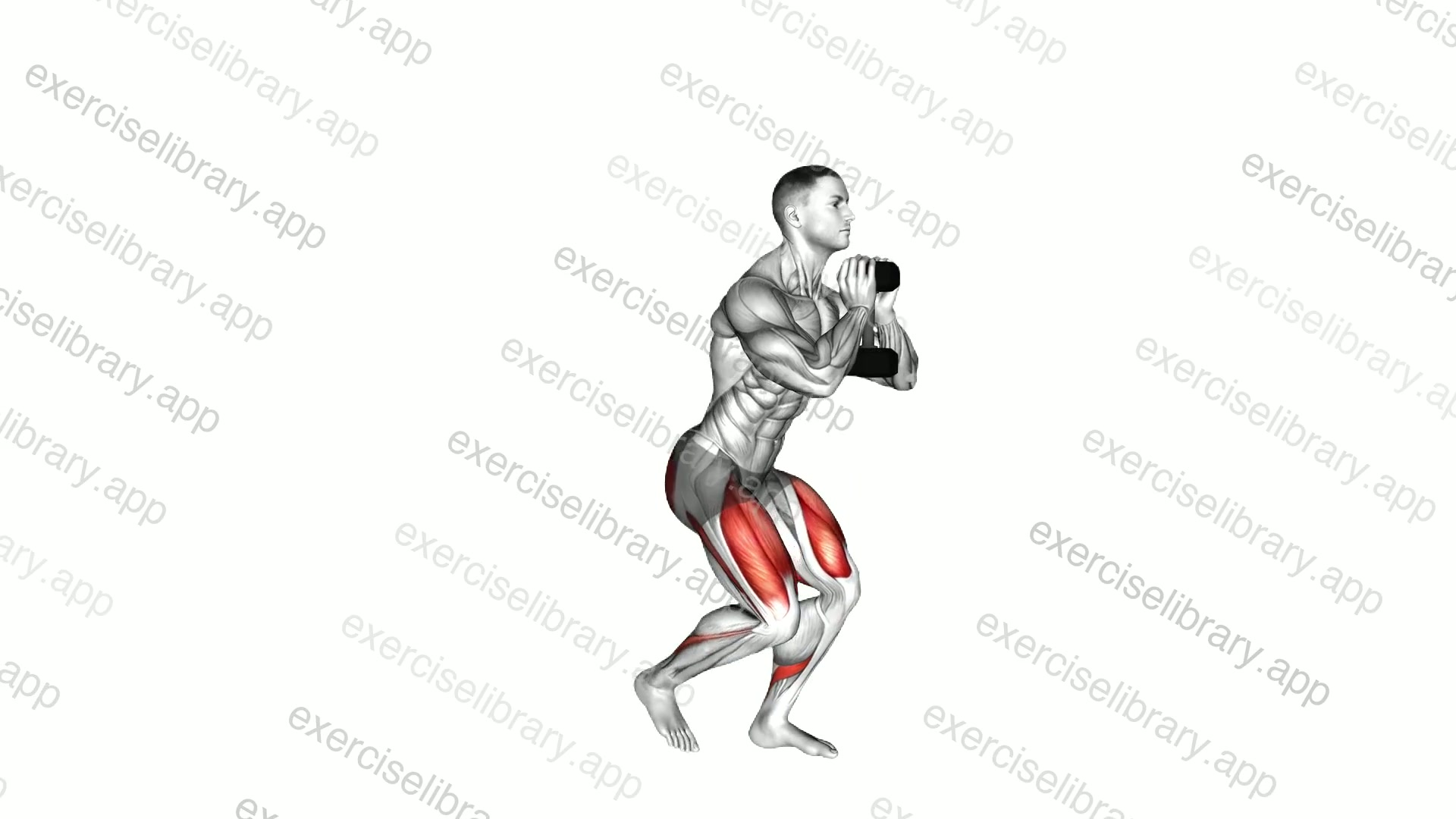 Dumbbell Narrow Squat Lunge demonstration