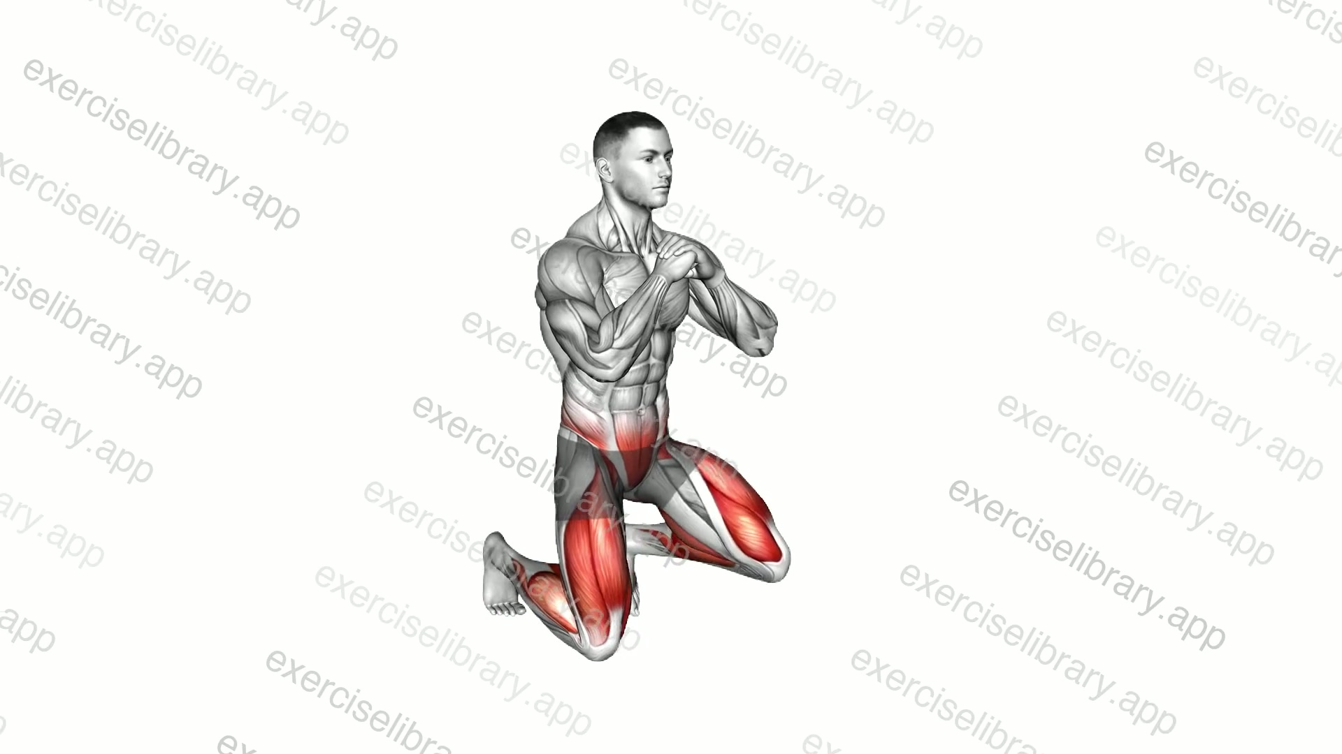 Alternating Kneeling to Half Kneeling demonstration