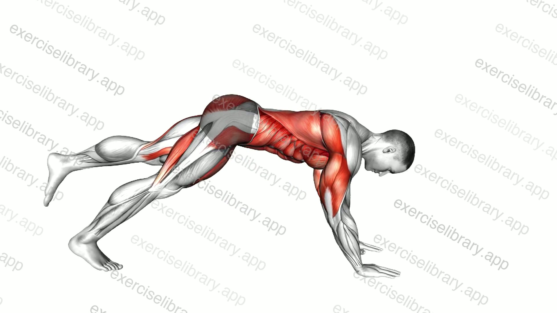 Single Leg Down to Upward Dog demonstration