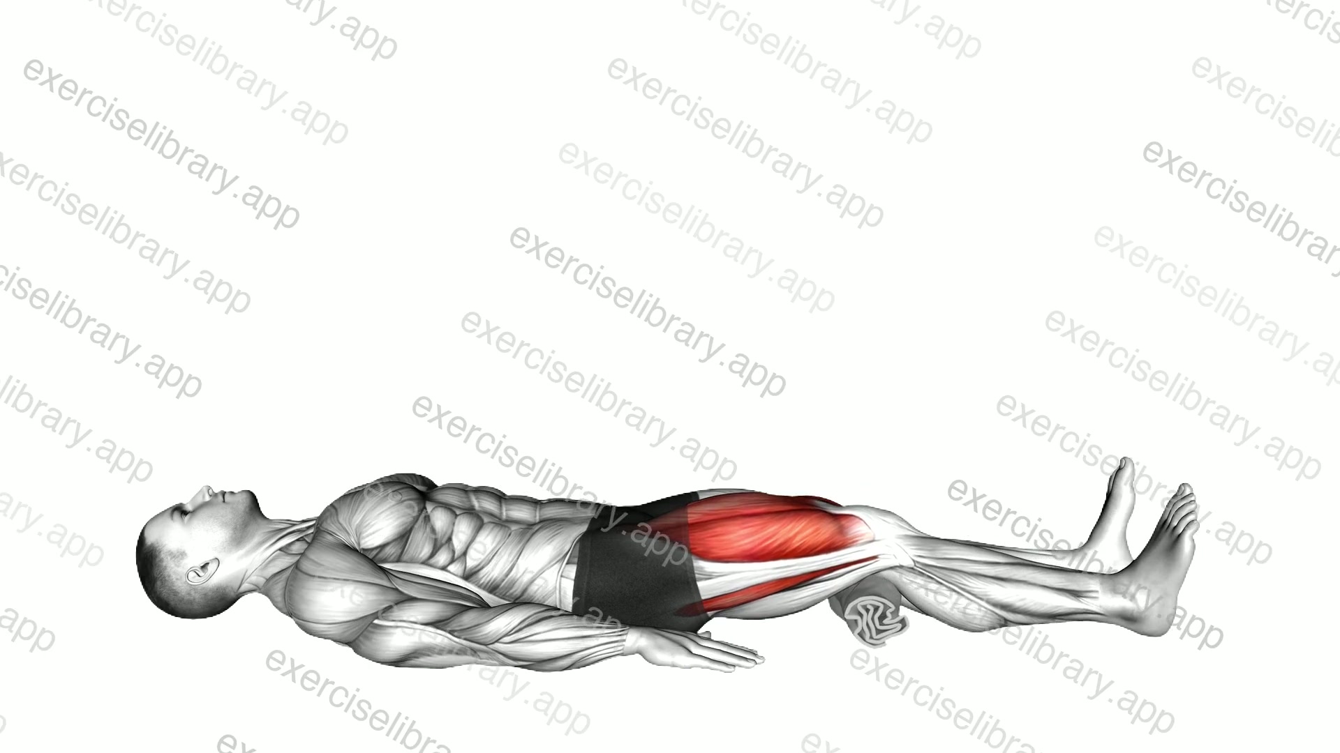 Lying Isometric Quad Hold demonstration