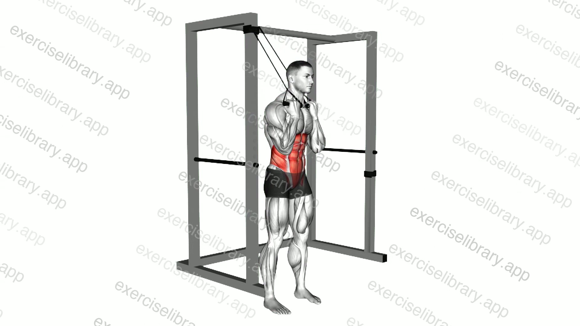 Band standing twisting crunch demonstration