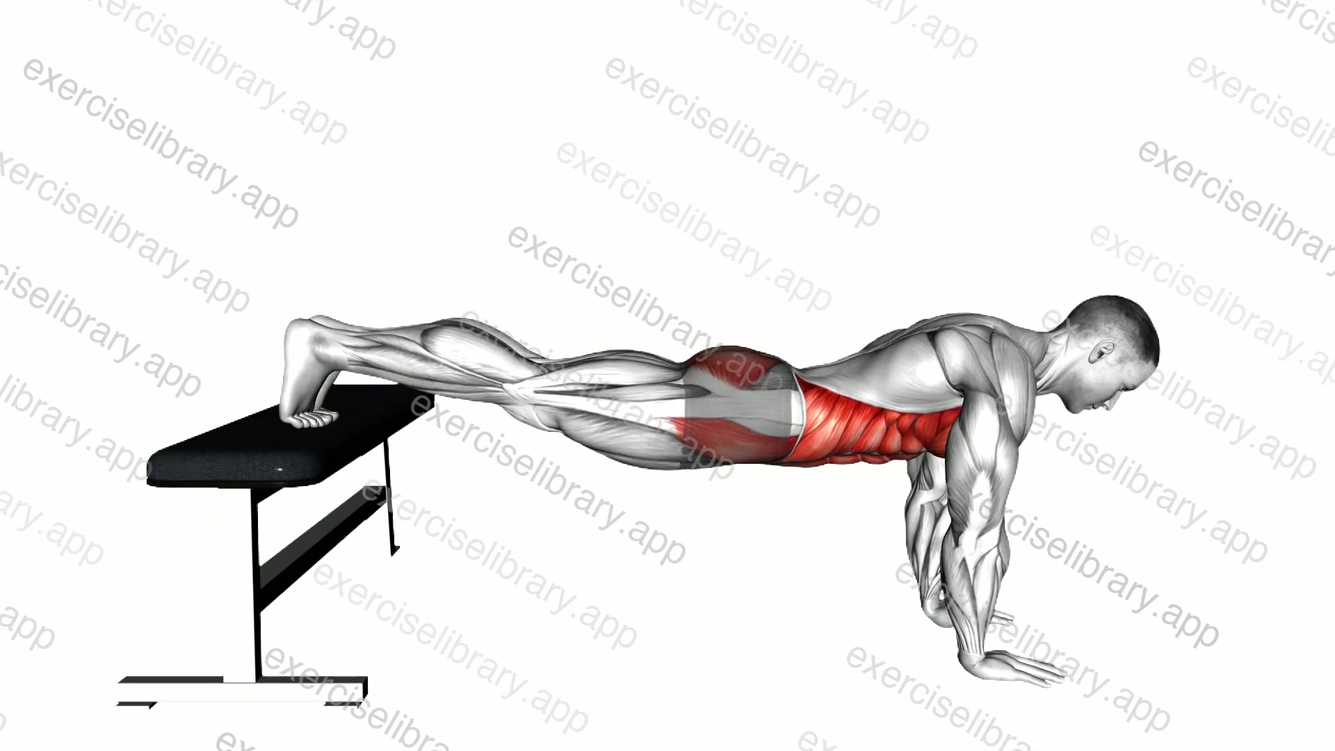 Plank with Feet Elevated demonstration