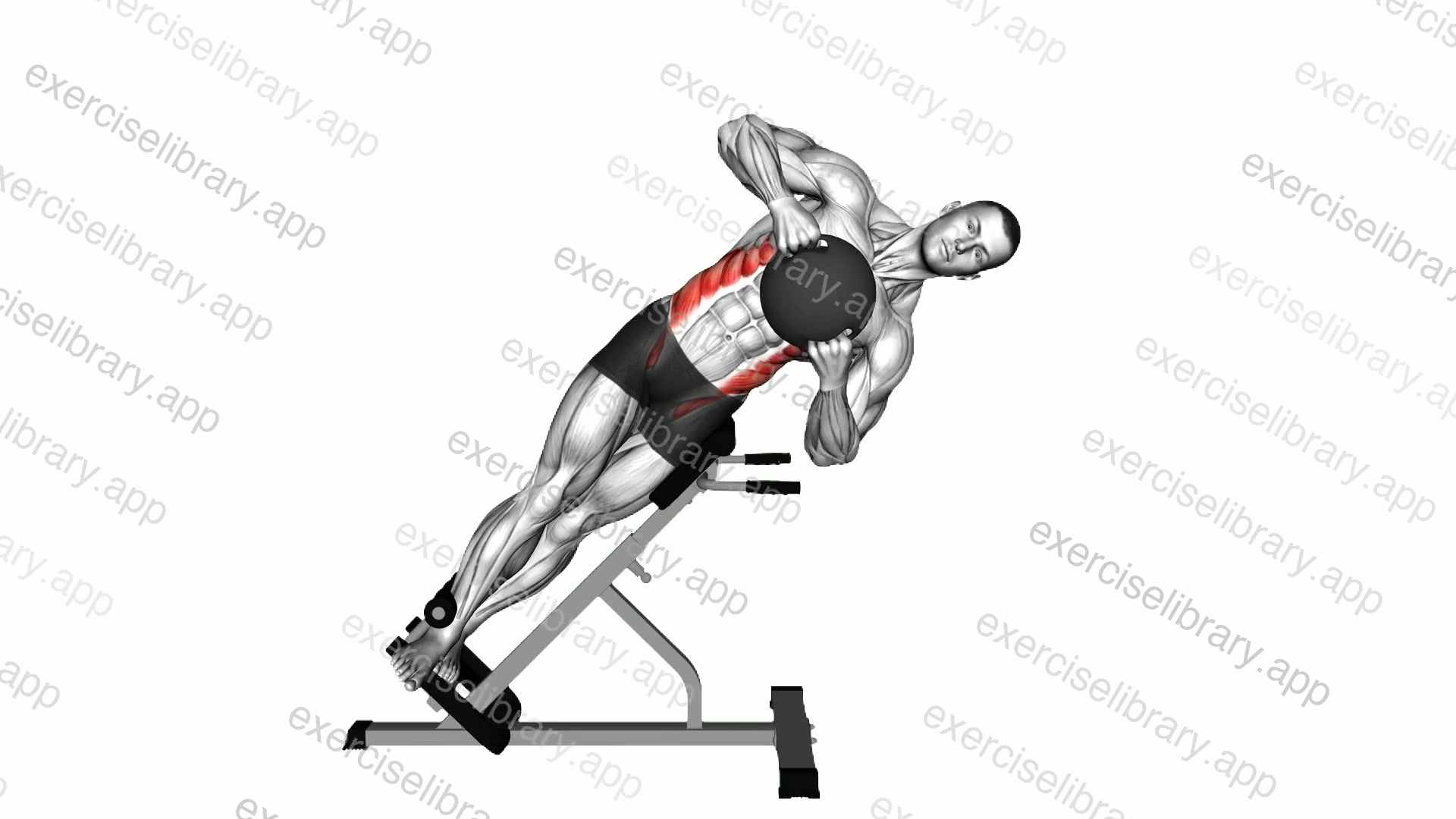 Medicine Ball 45 degree Side Bend demonstration