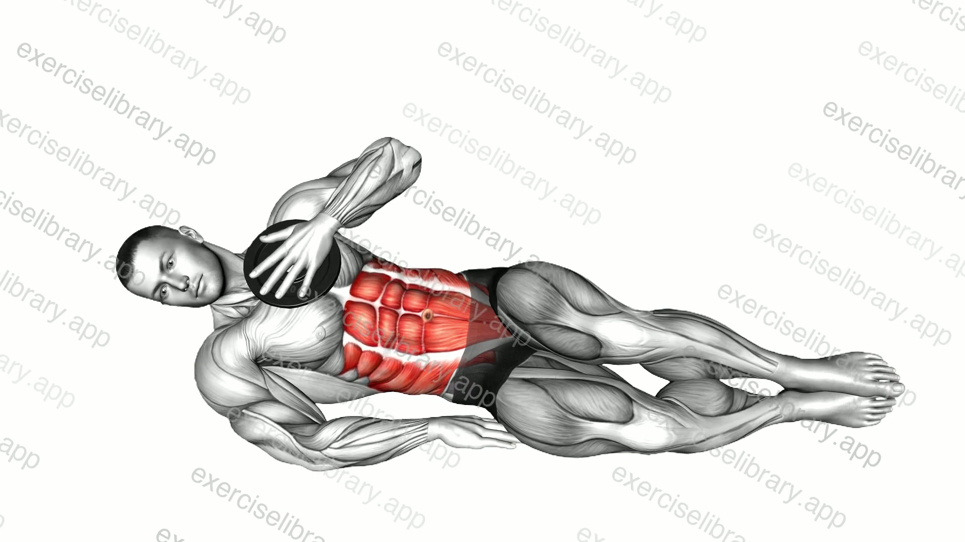 Weighted Plate Lying Side Oblique Crunch demonstration
