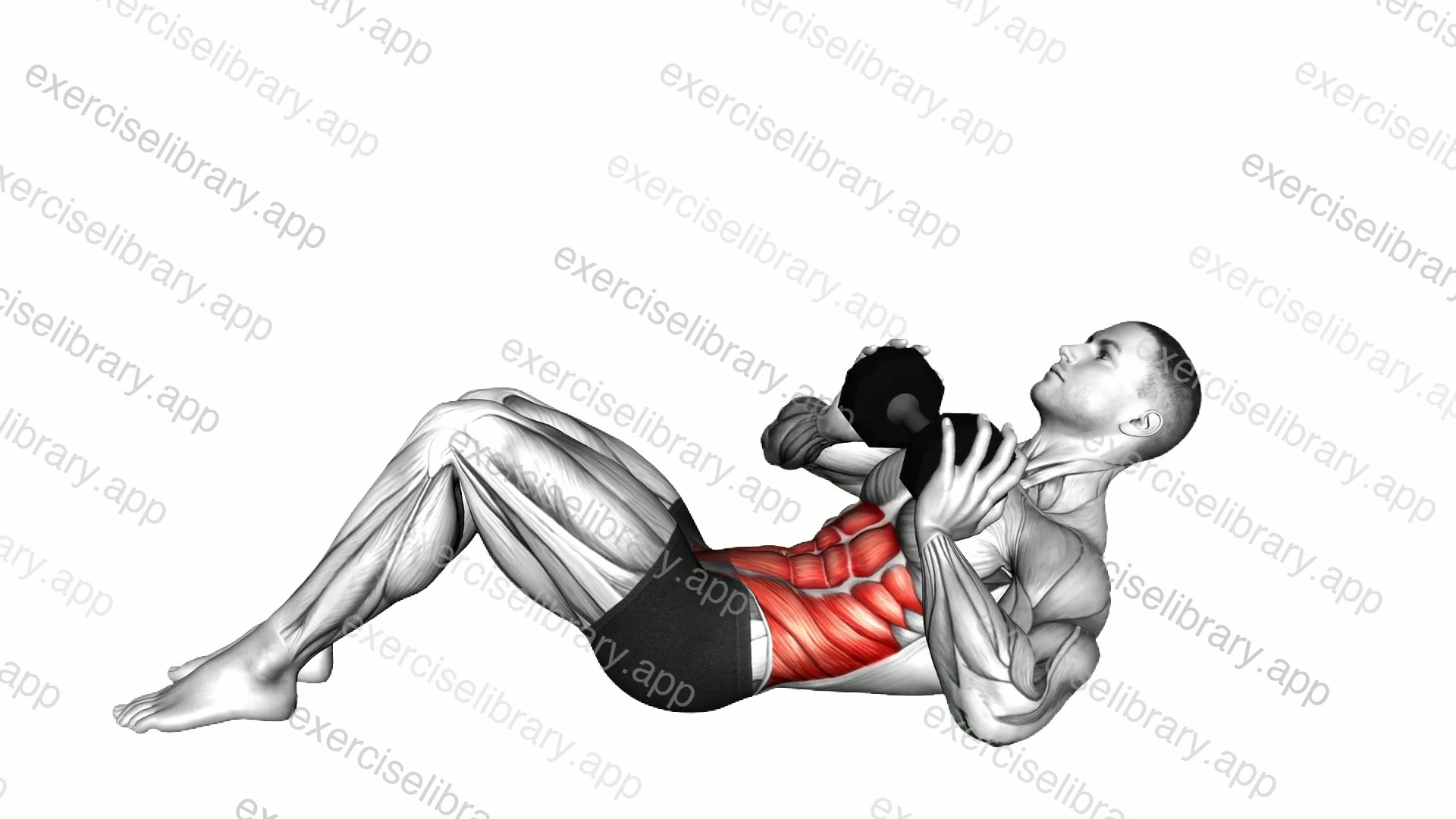Dumbbell Twisting Crunch demonstration