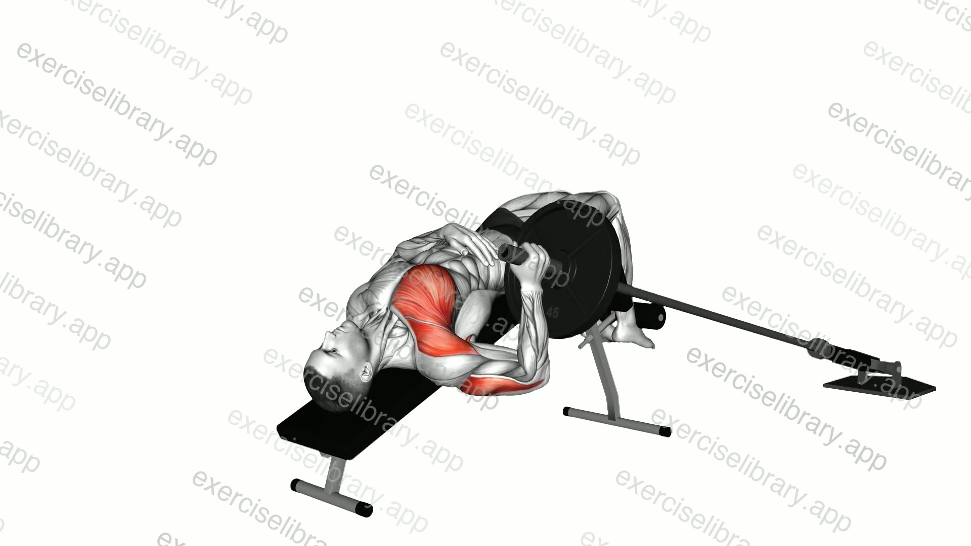 Landmine Decline Single Arm Chest Press demonstration