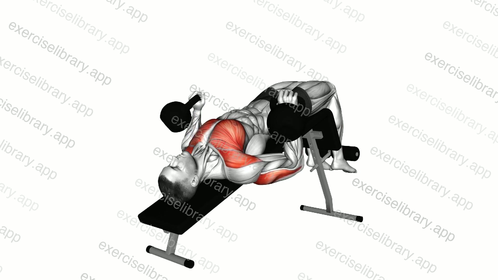 Kettlebell Decline Bench Press demonstration