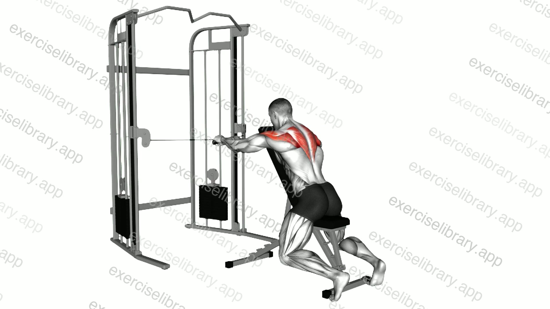 Cable Seated Overhand Grip Rear Delt Fly with Chest Support demonstration