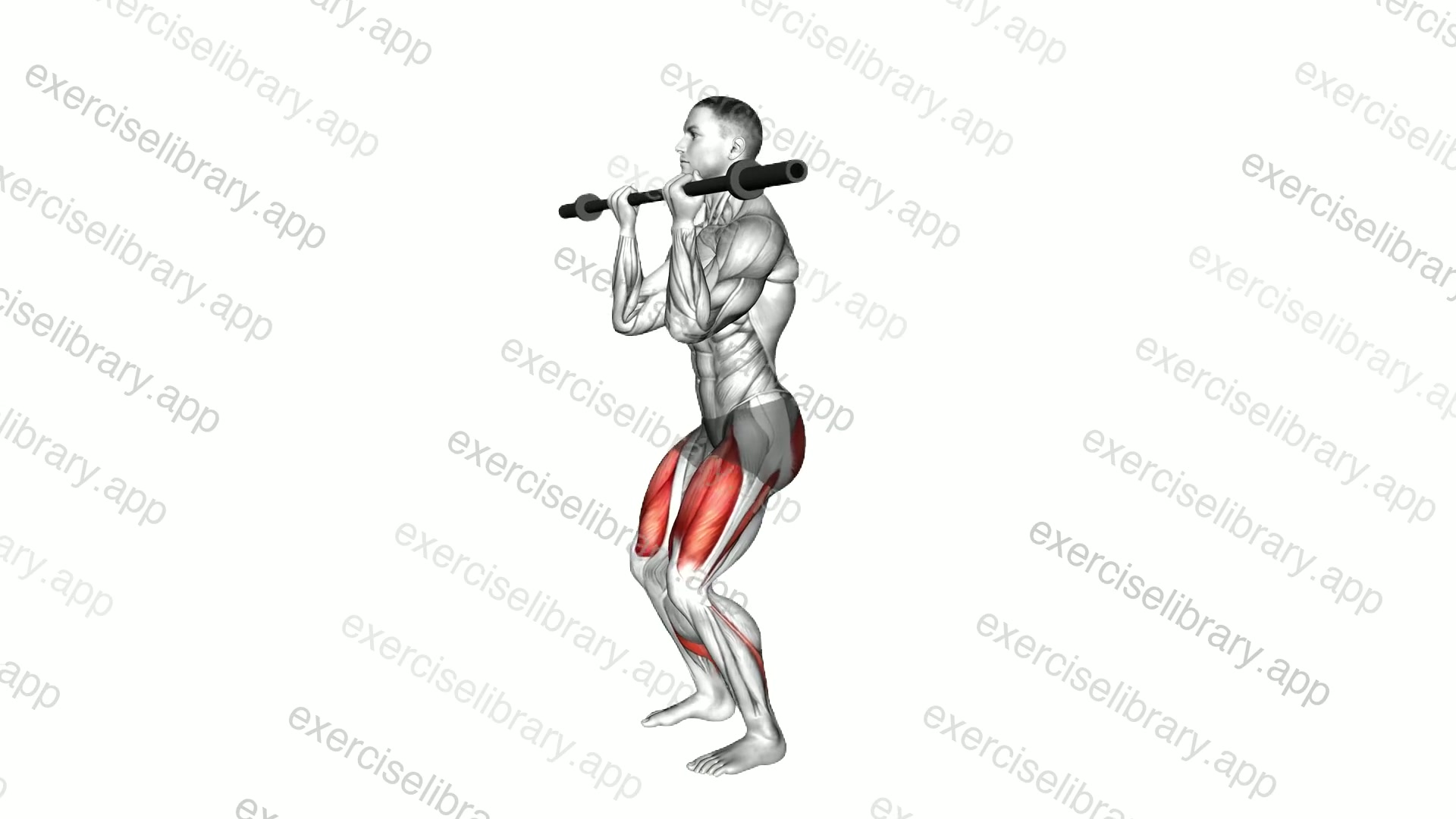 Barbell Core Squat demonstration