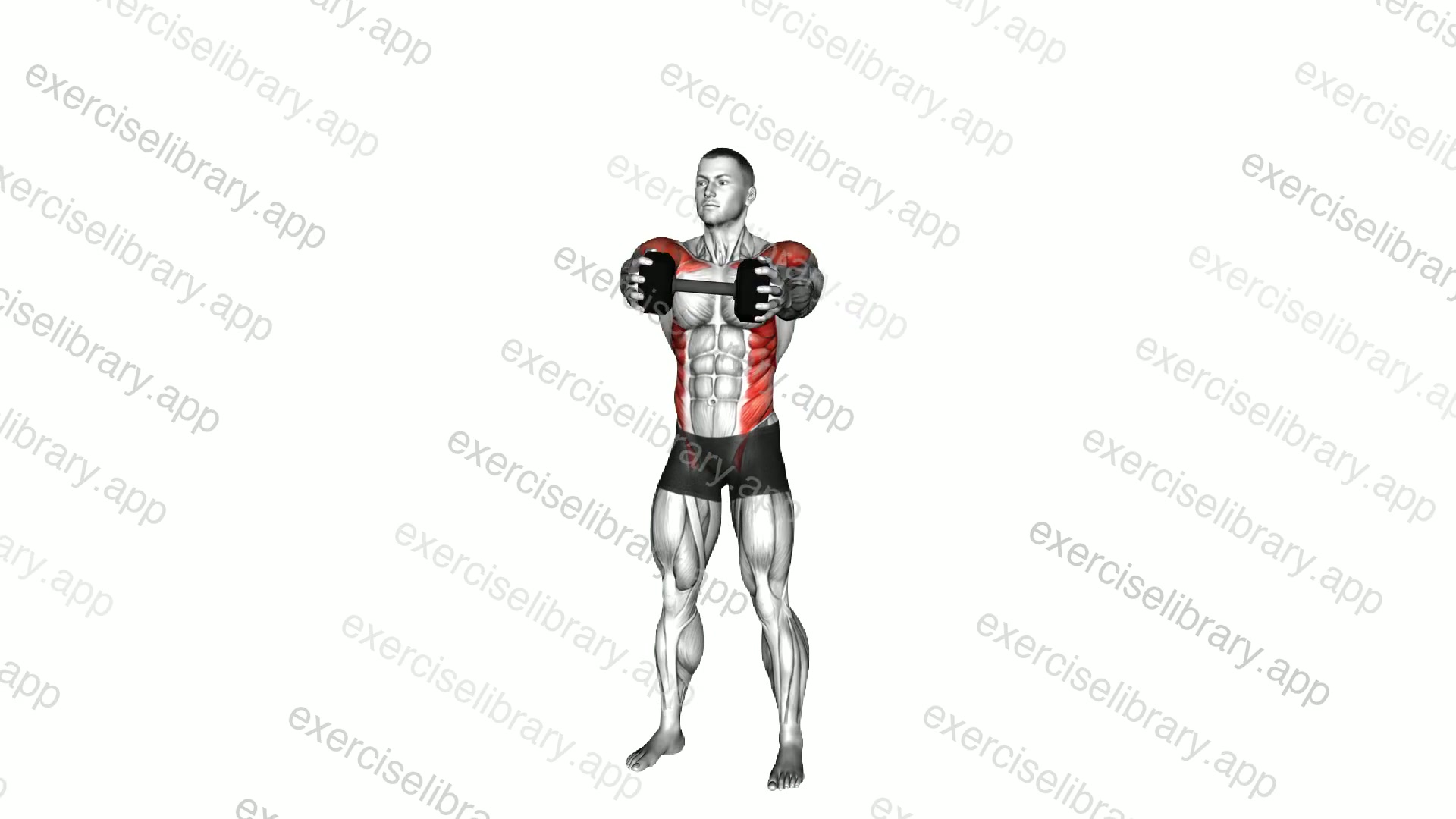 Dumbbell Standing Cross Clean demonstration