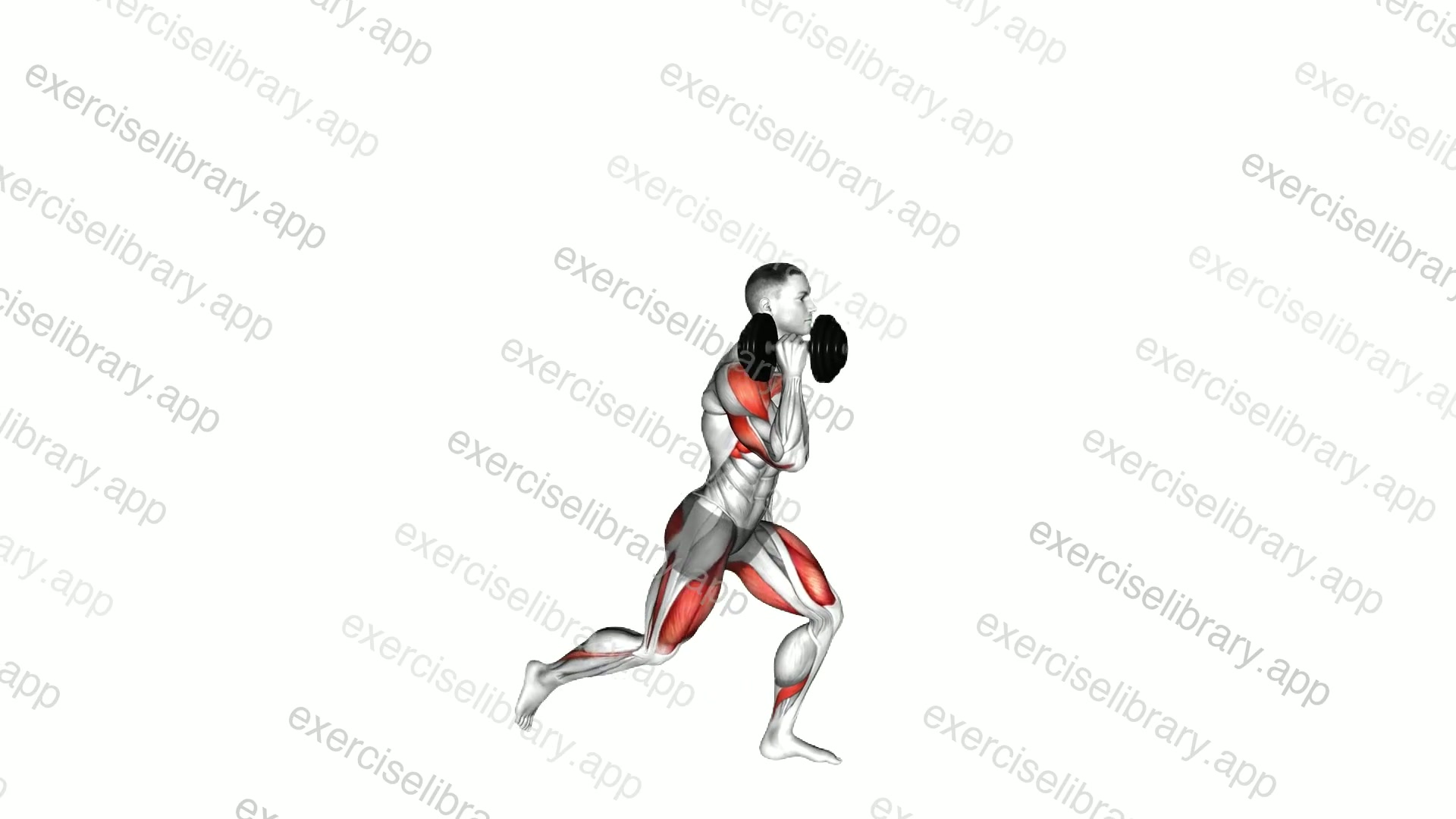Dumbbell Rear Lunge to Single Arm Shoulders Press demonstration