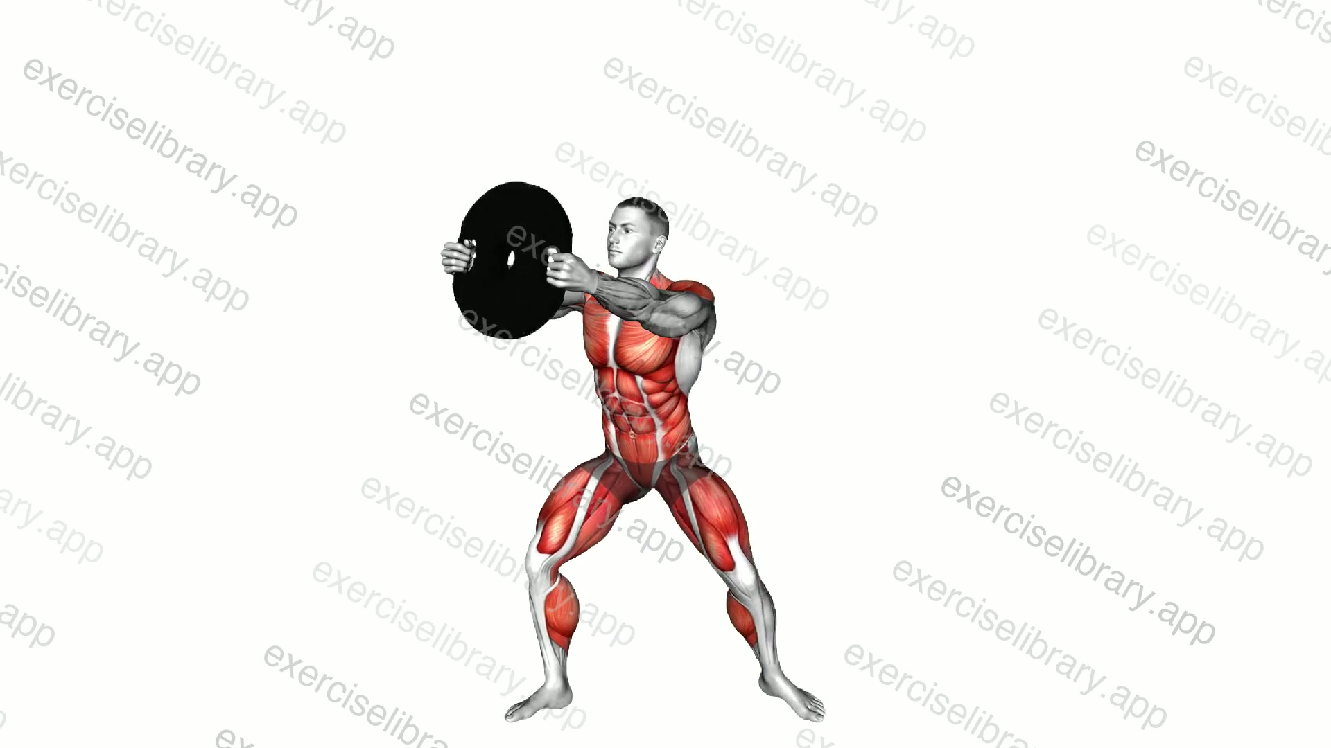 Weighted Plate Side-up Squat demonstration