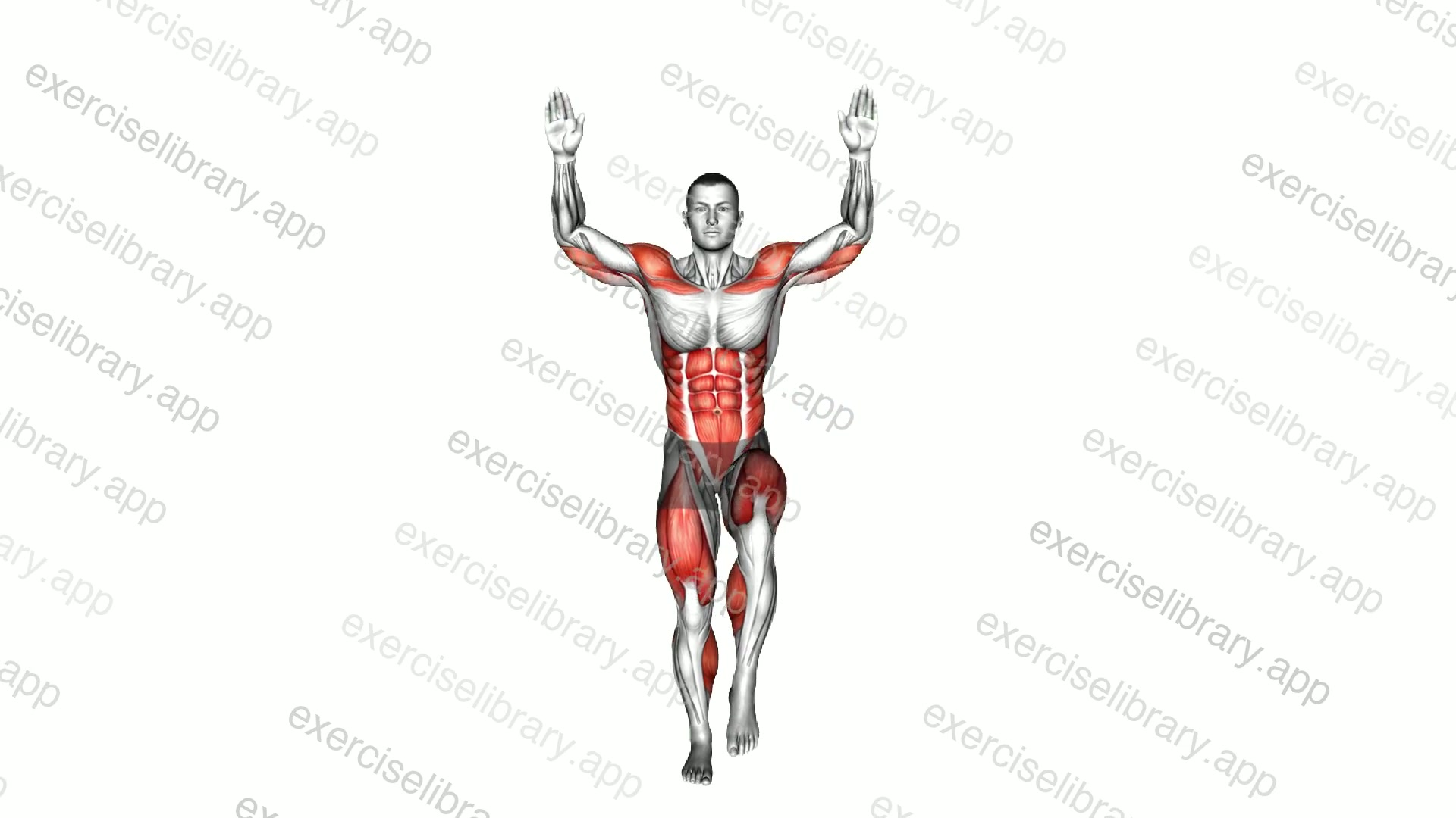 Overhead Push Alternate Knee Raise demonstration