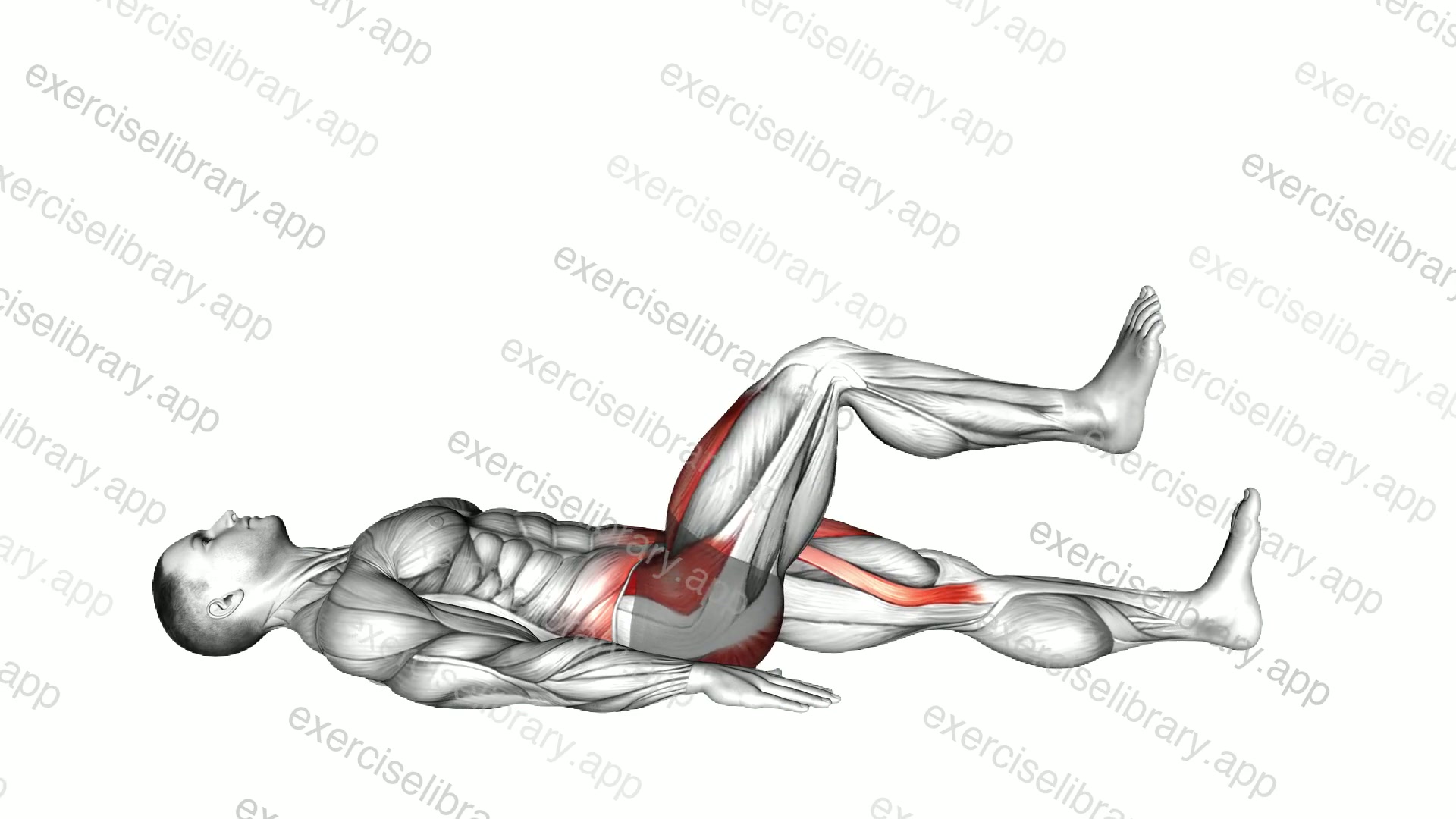 Lying Alternate Bent Leg Raise demonstration