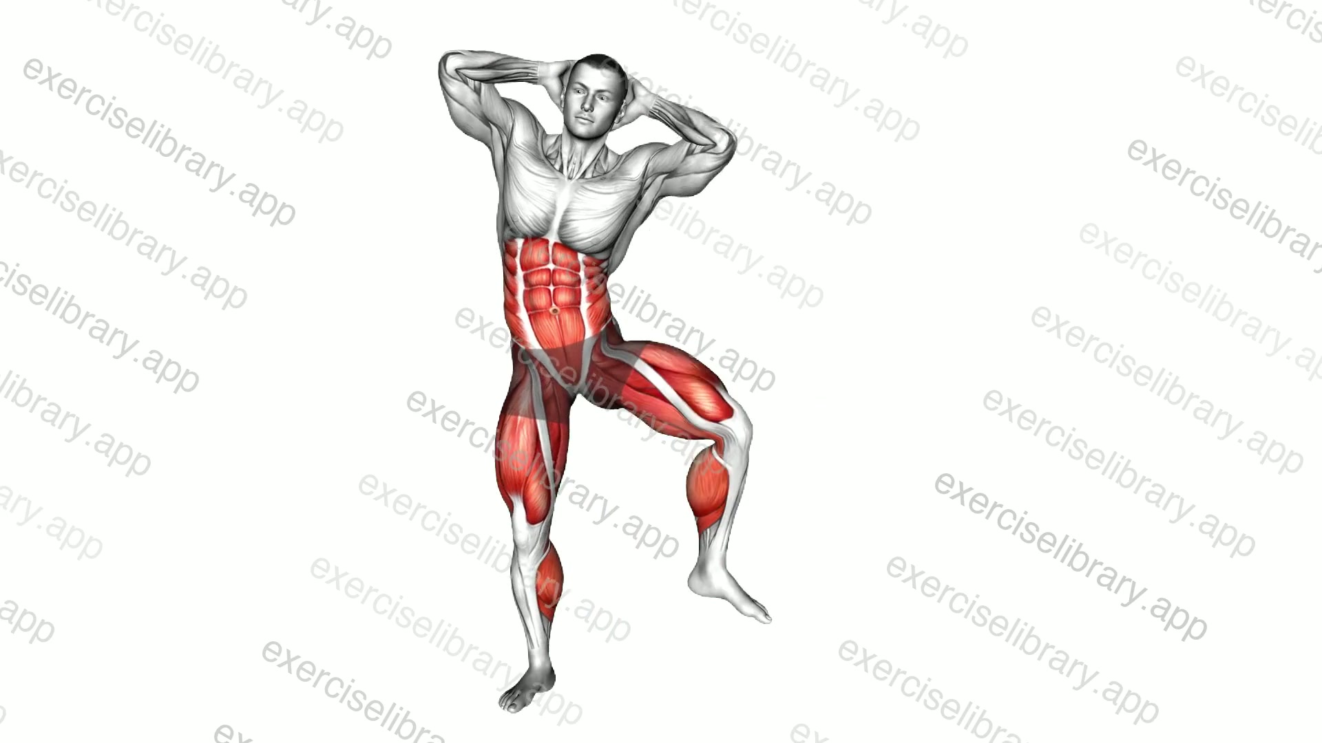 Twist and Side Crunch demonstration