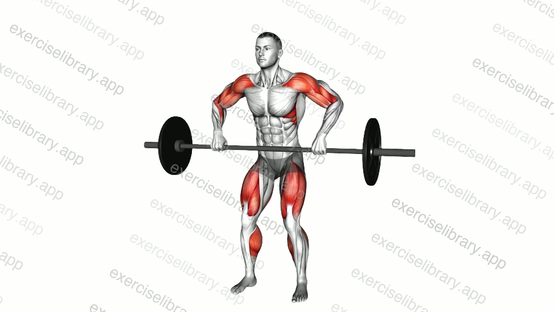 Barbell High Pull demonstration
