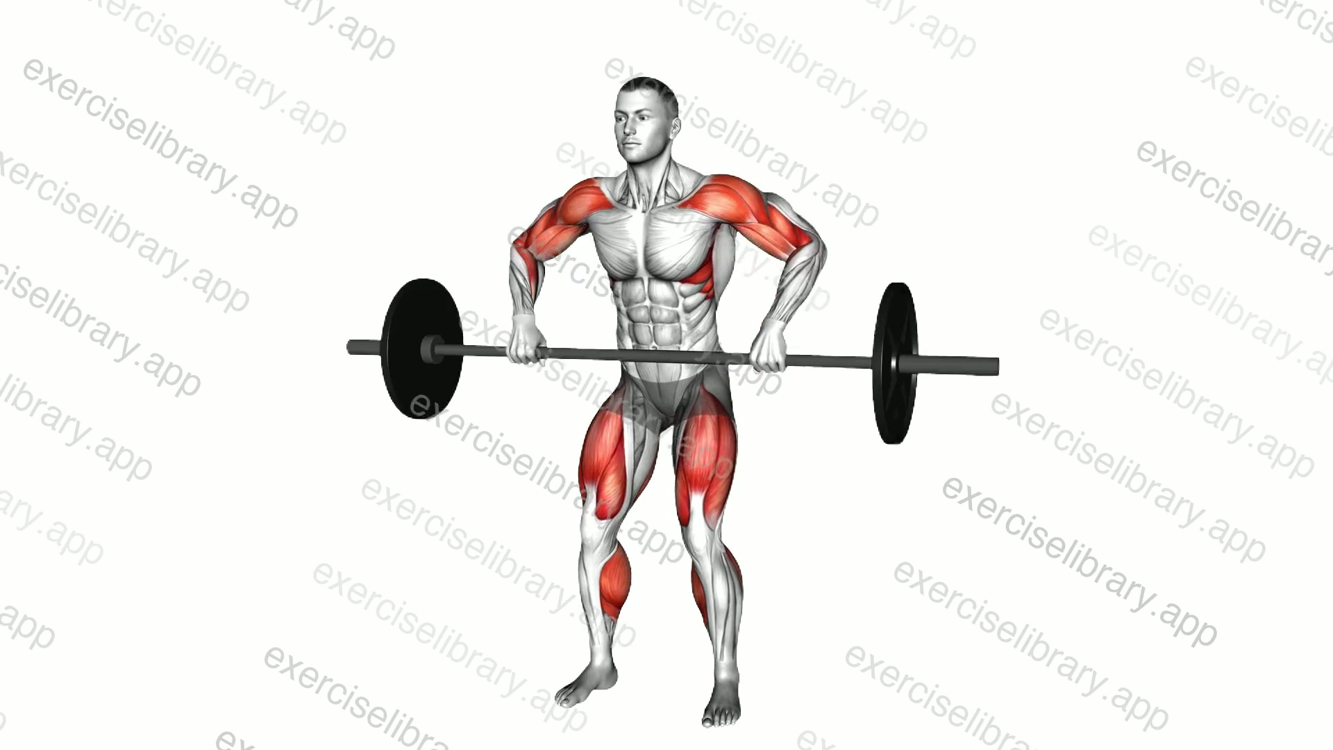 Barbell Hang Clean High Pull demonstration