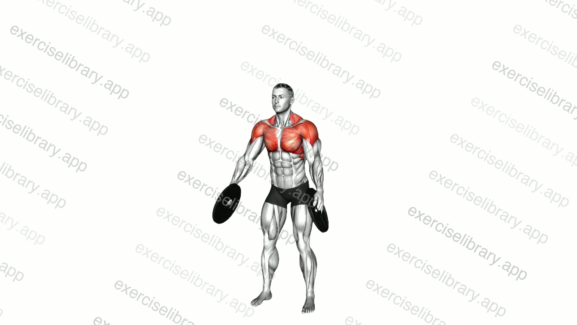 Weighted Plate LU Raise demonstration