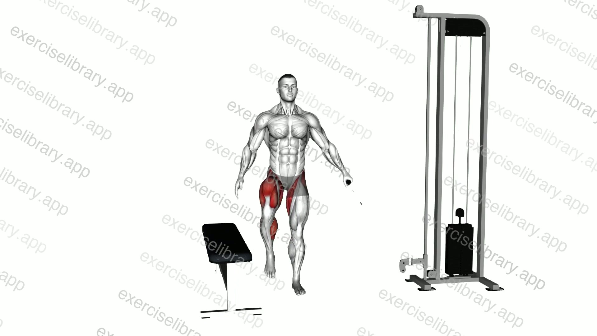 Cable Lateral Step-up demonstration