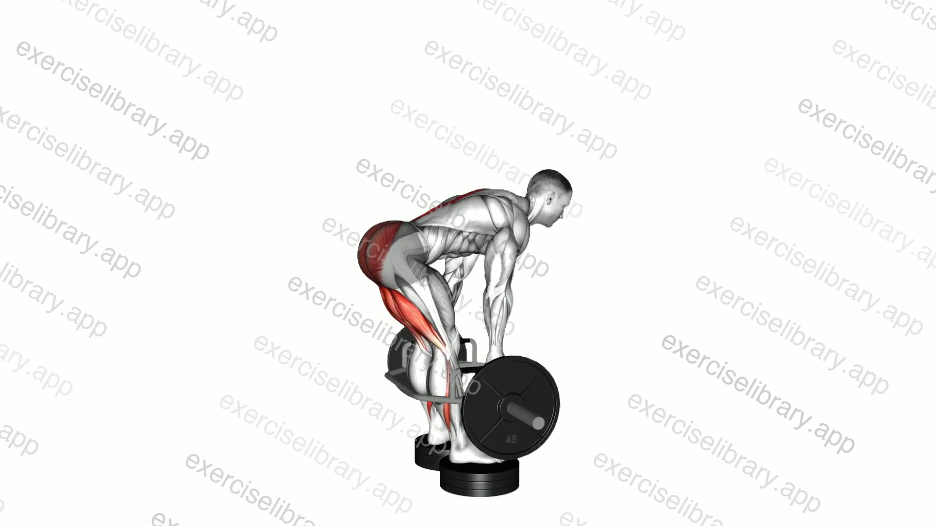 Trap Bar Romanian Deadlift from Deficit demonstration