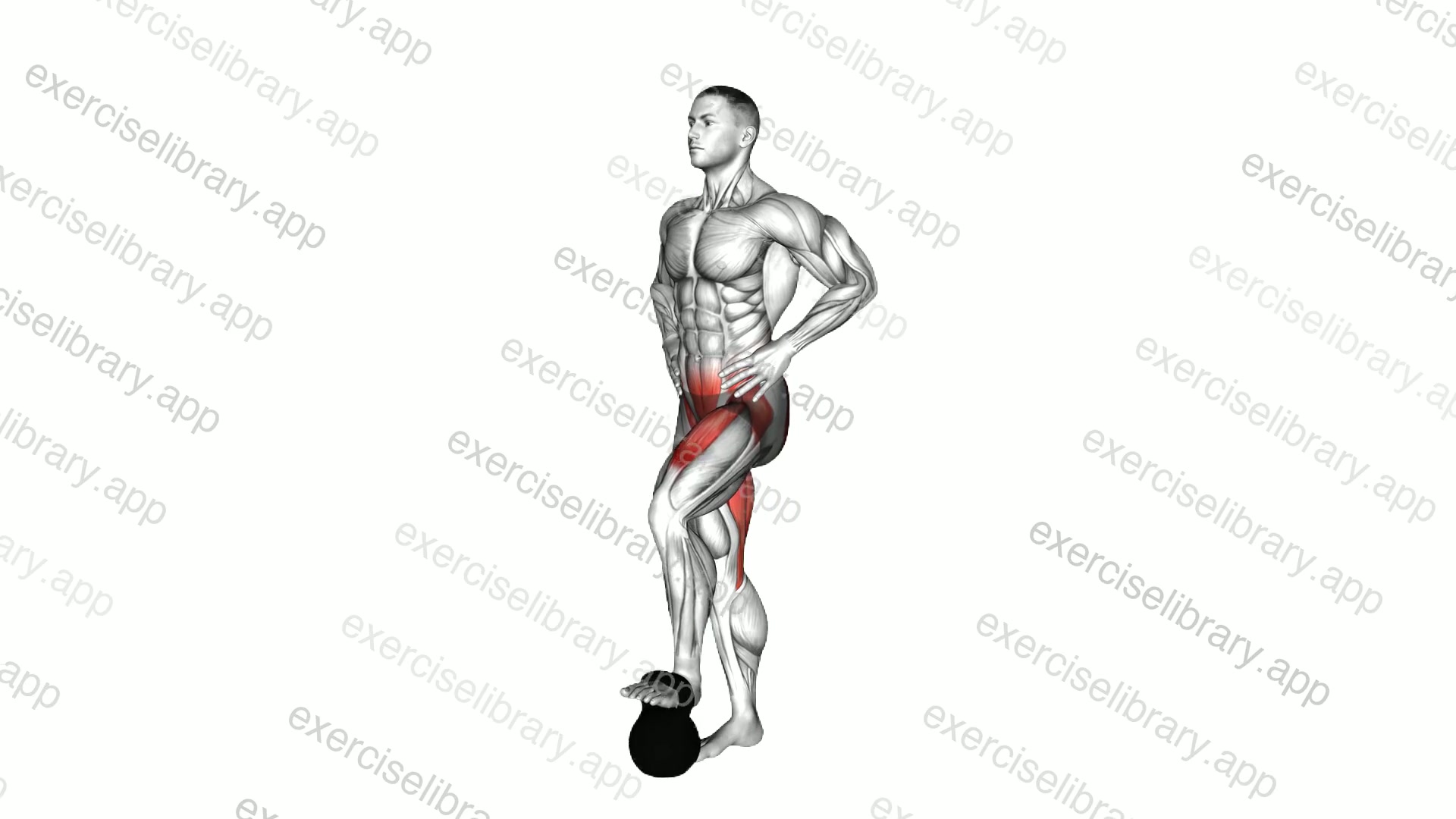 Weighted Standing Hip Flexion demonstration