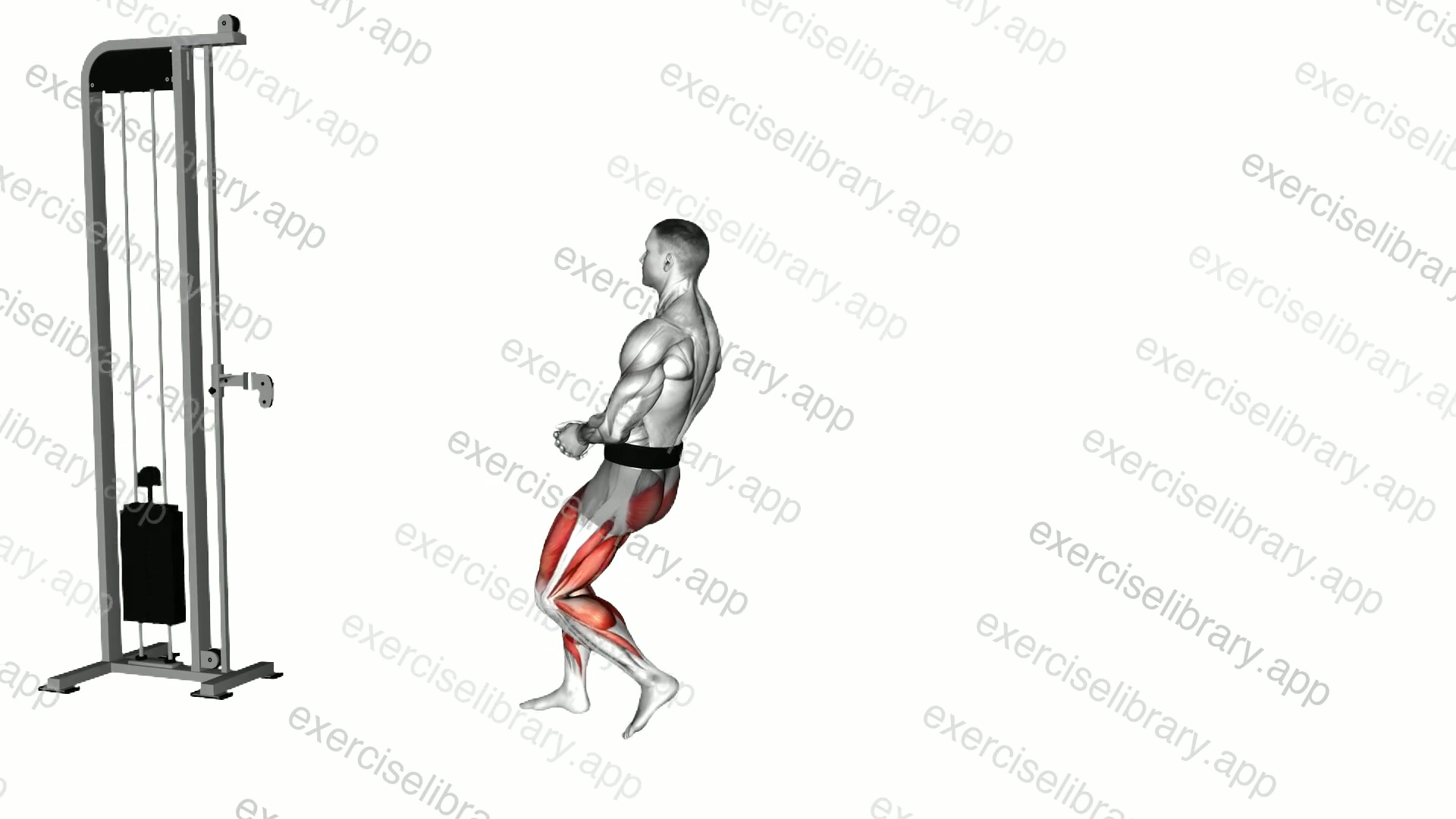 Cable Backward Walk demonstration
