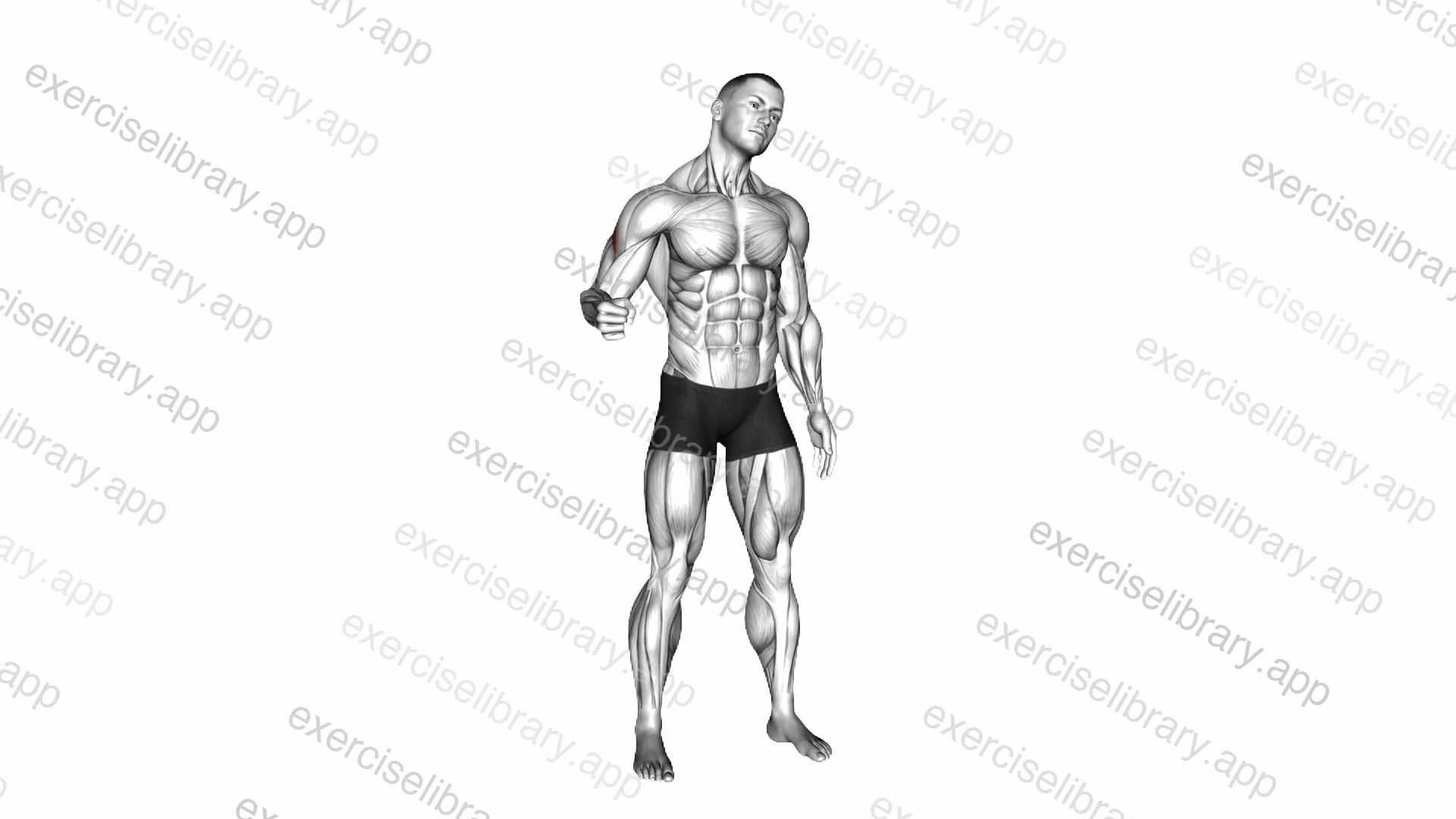 Standing Supraescapular Nerve Mobilization demonstration