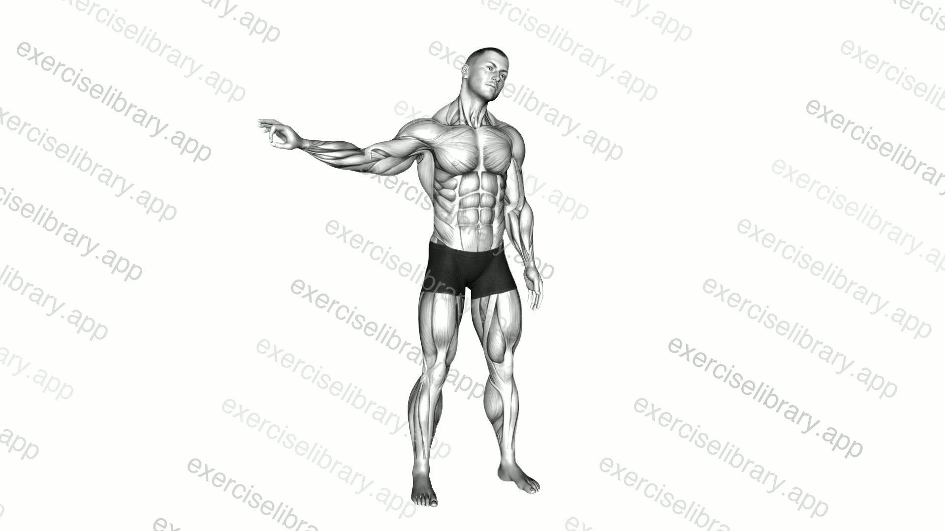 Standing Ulnar Nerve Mobilization demonstration