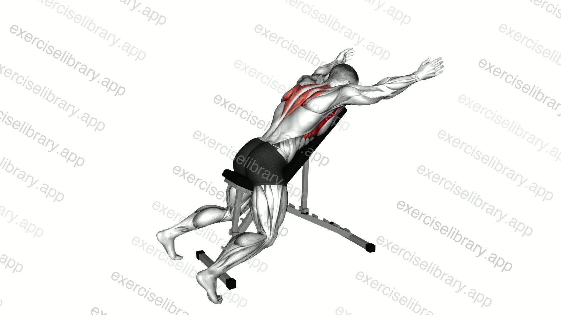 Prone Incline YWAT demonstration