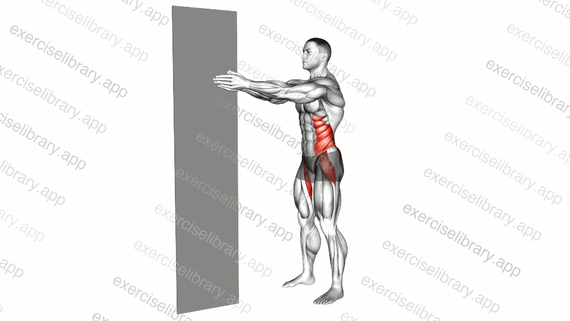 Standing Isometric Pallof Press Hold demonstration