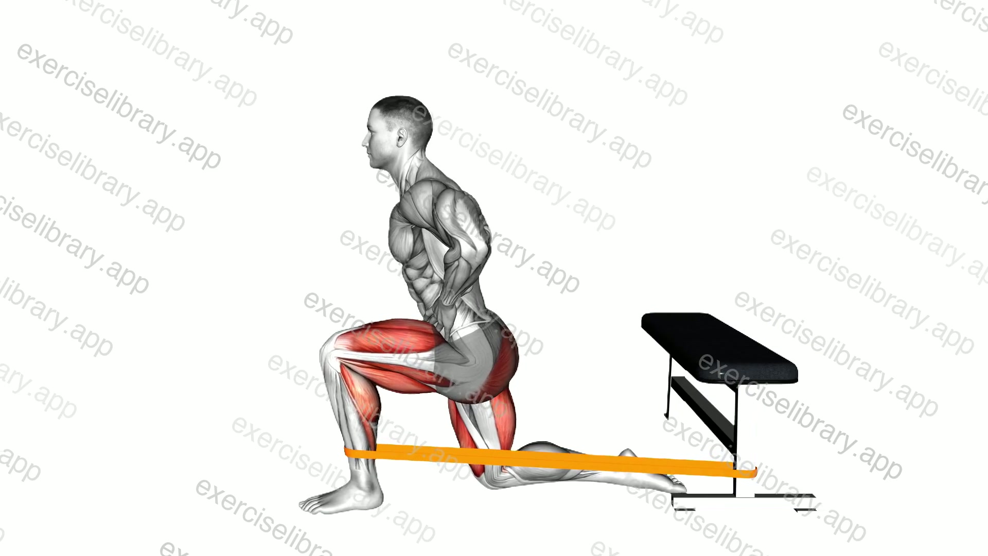 Resistance Band Deep Lunge Dorsi Flexion demonstration