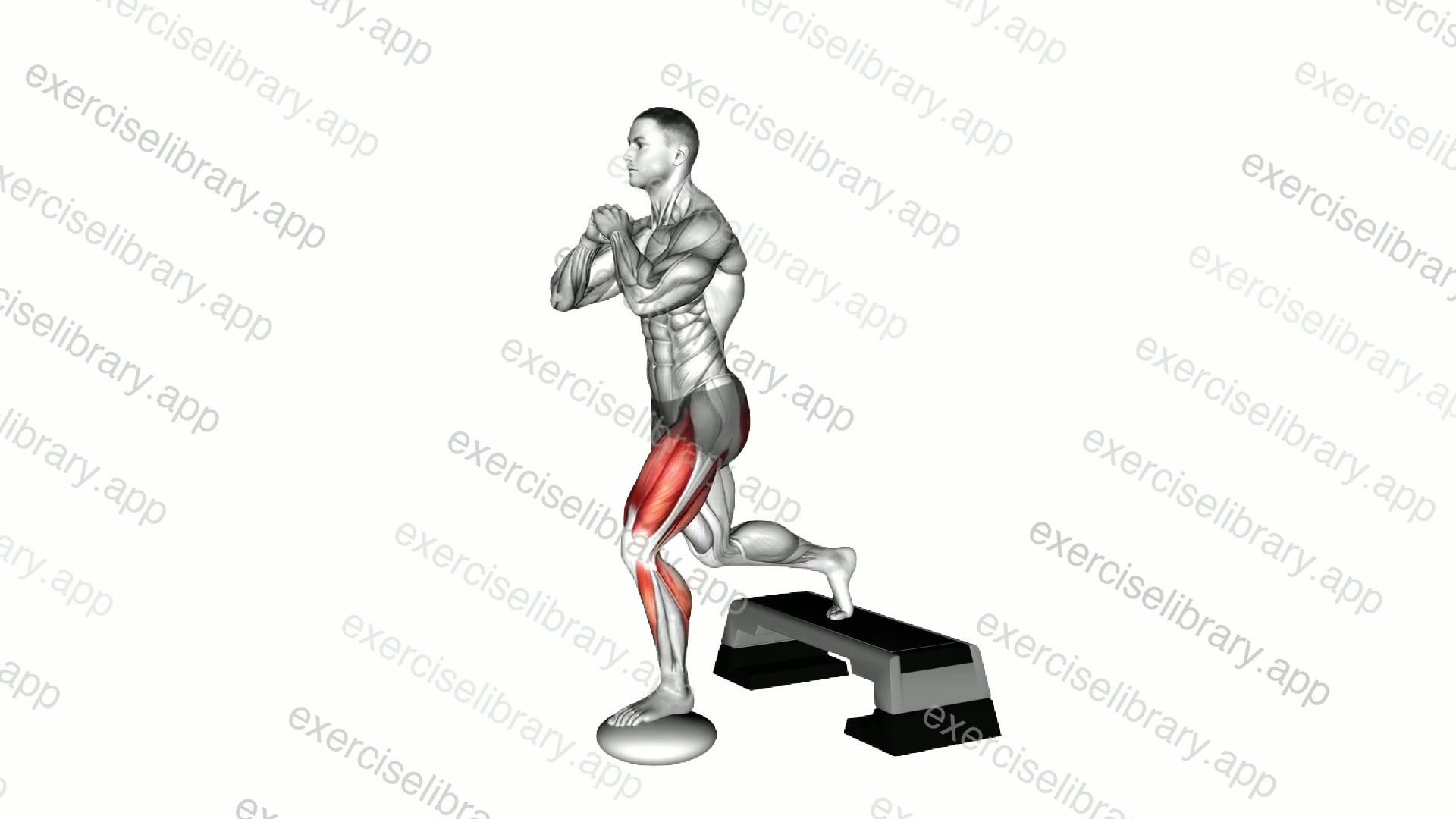 Bulgarian Split Squat with Pillow and StepBox demonstration