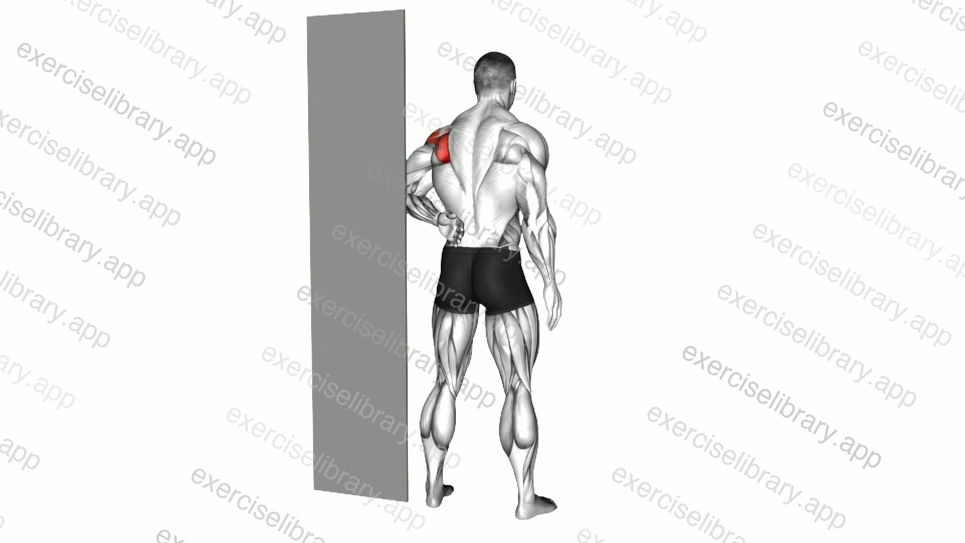 Standing Shoulder Internal Rotation Stretch against Wall demonstration