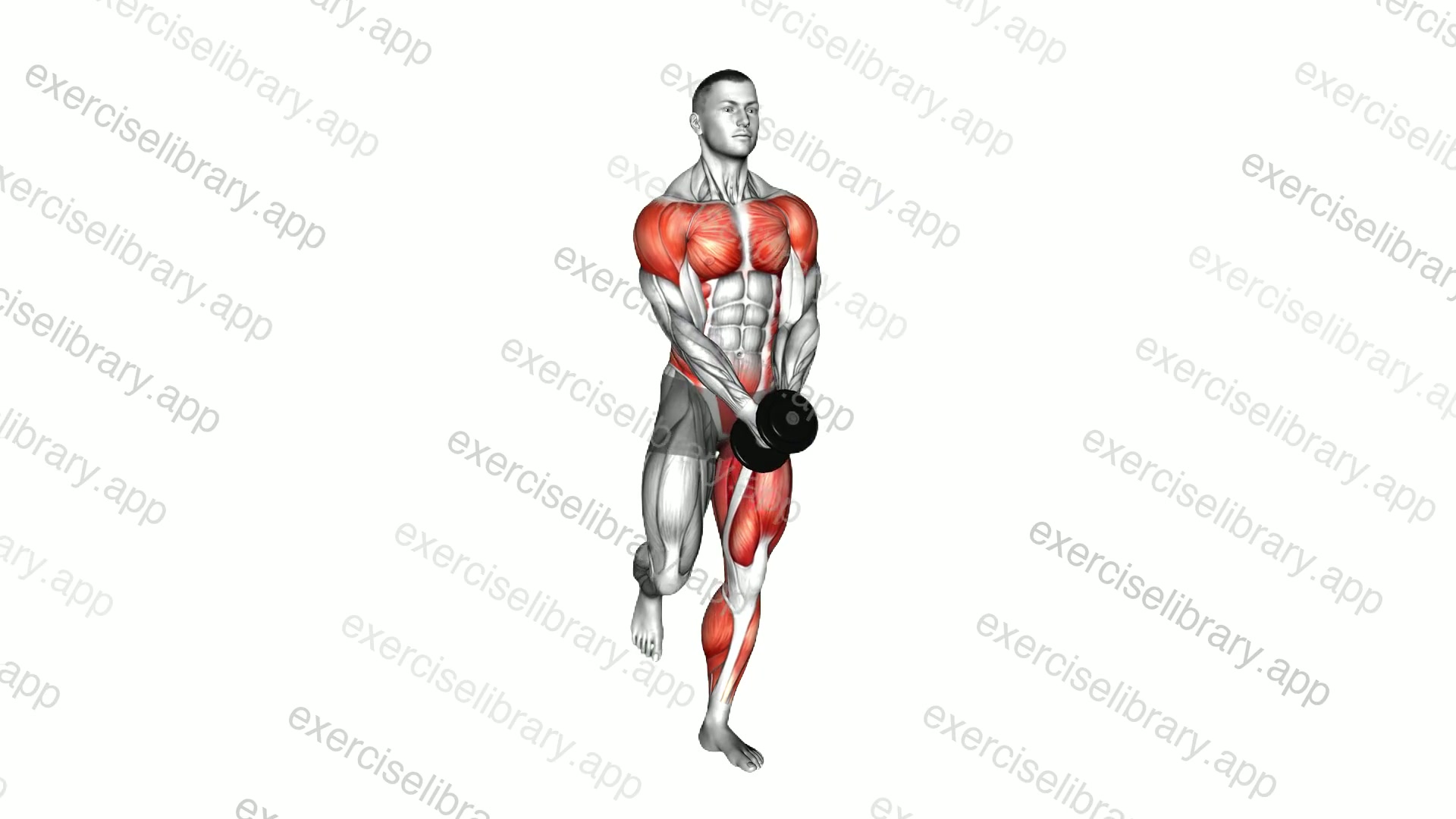 Dumbbell Around Hip Hand to Hand Single Leg Balance demonstration