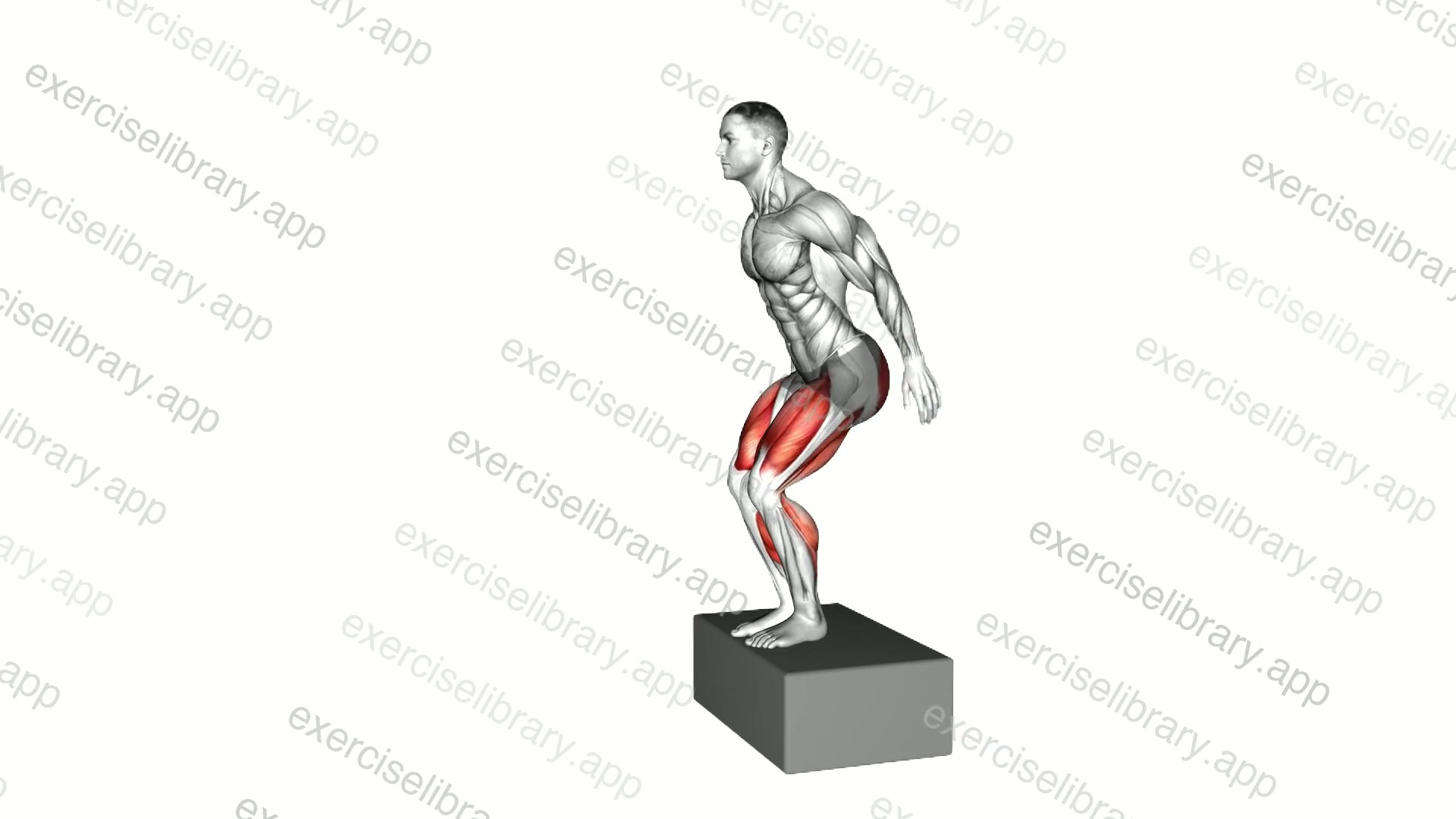 Box Jump Drop 2 Foot Land demonstration