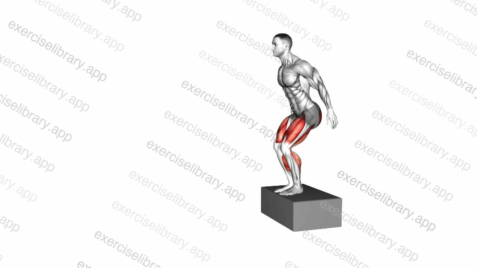 Box Jump Drop 2 Foot Land Diagonal Jump demonstration
