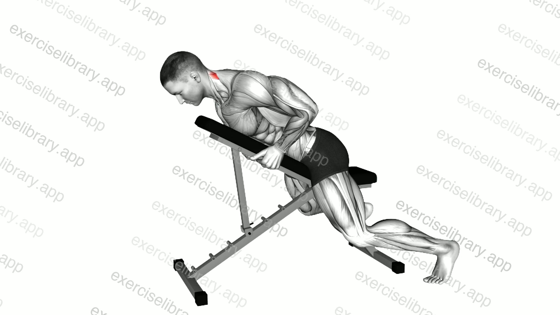 Lying Neck Extension demonstration