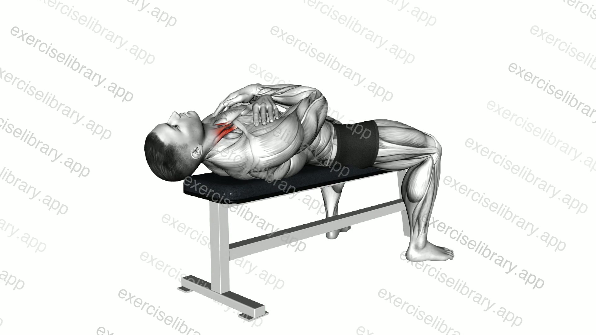 Lying Neck Flexion demonstration