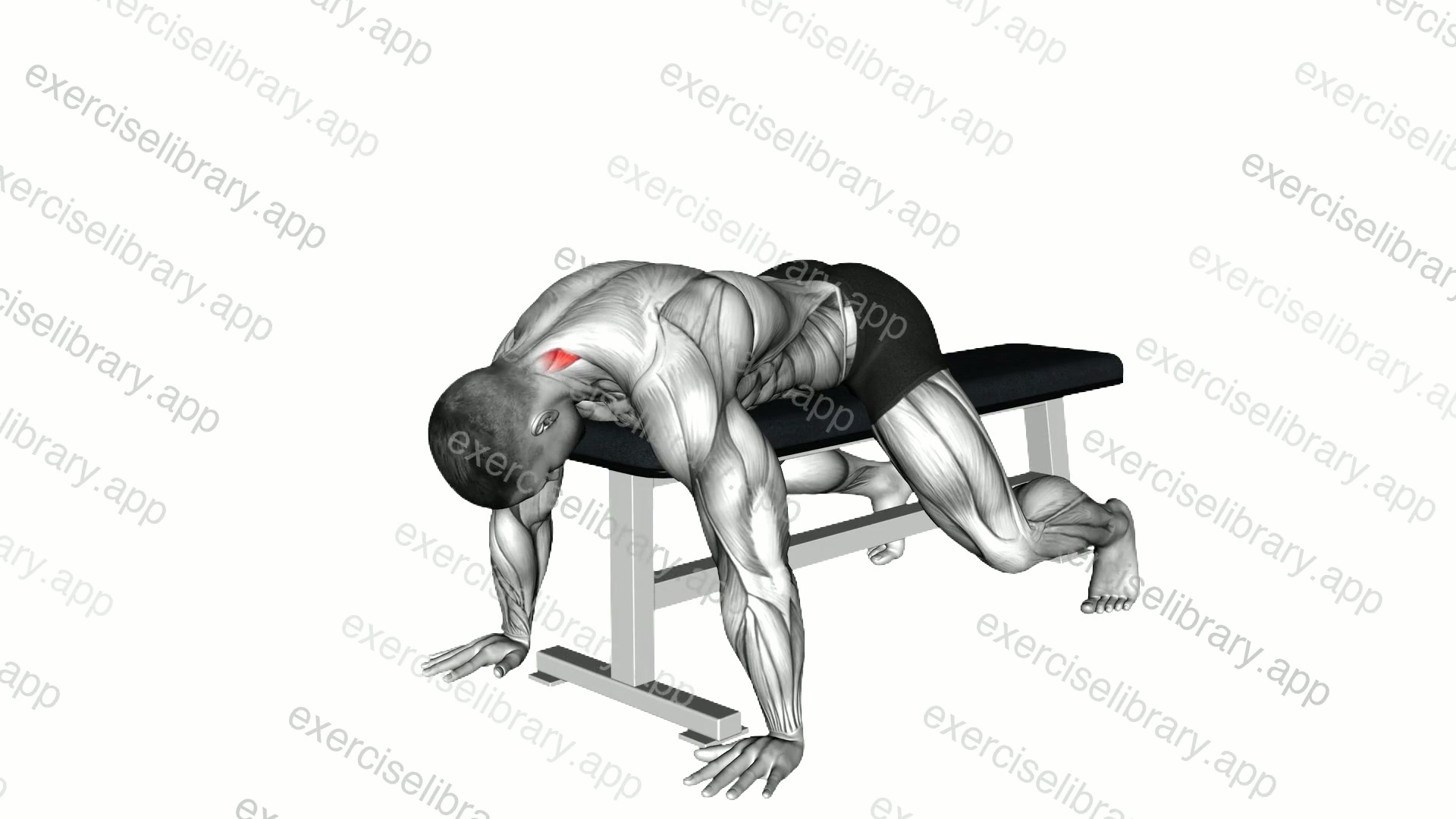 Lying Neck Extension demonstration