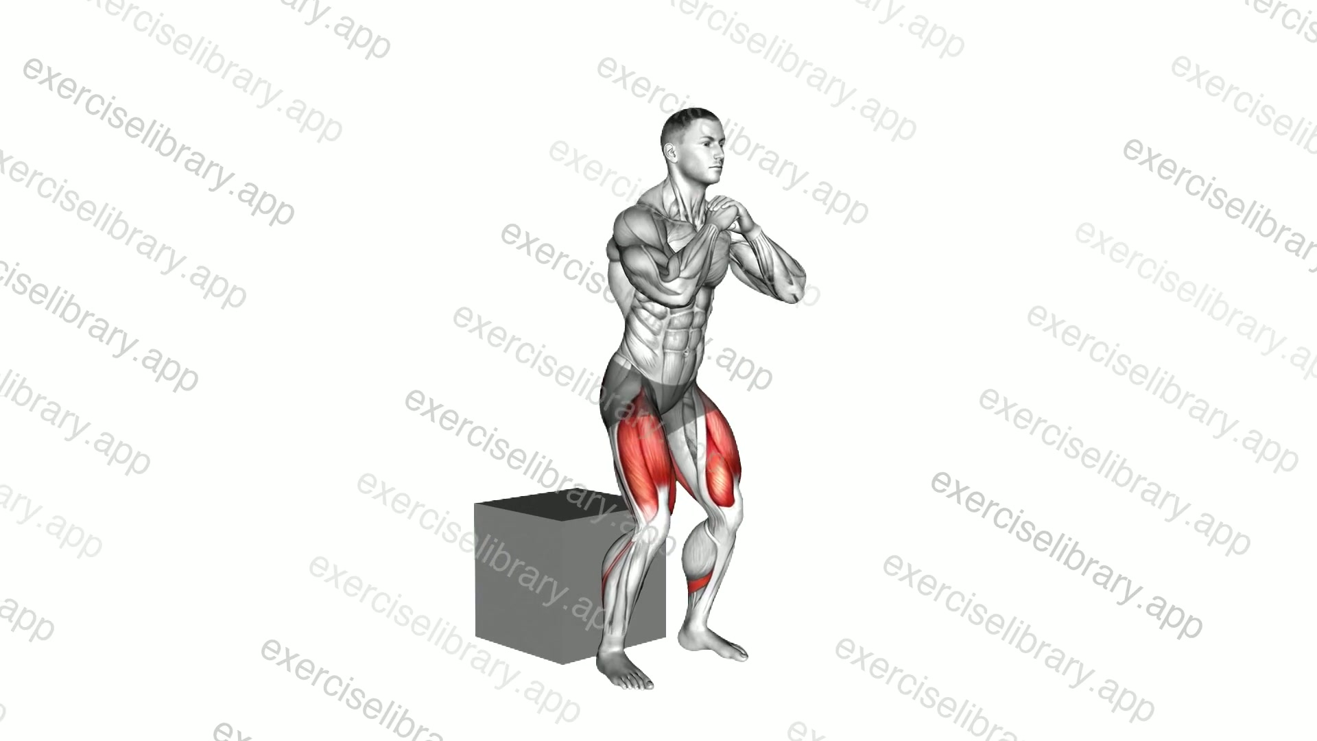 Bodyweight Box Squat demonstration