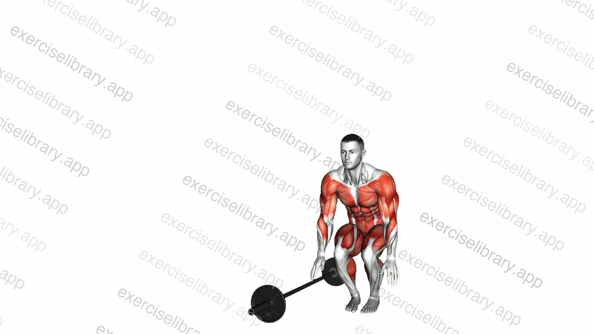 Burpee Over the Bar demonstration