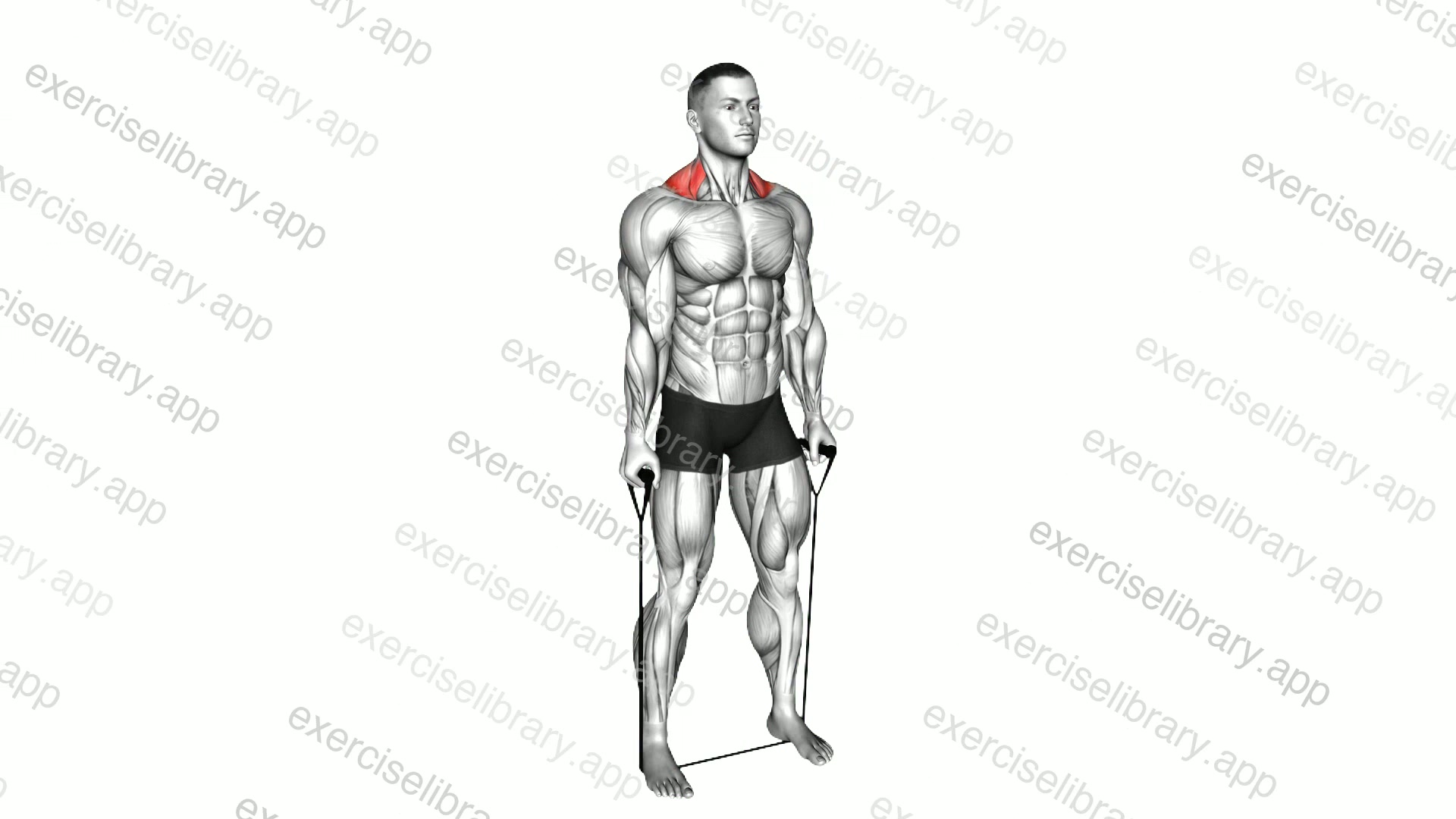Band shrug demonstration