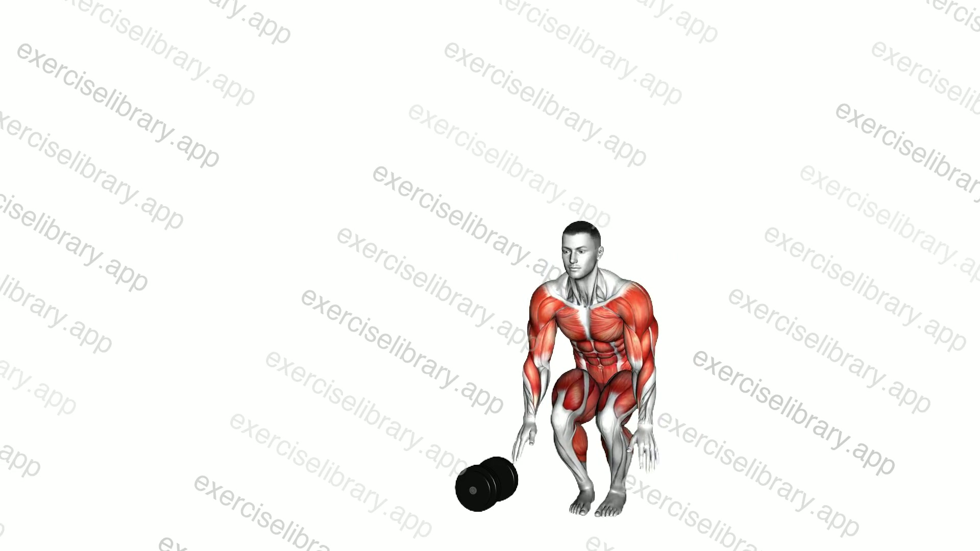 Burpee Over the Dumbbell demonstration