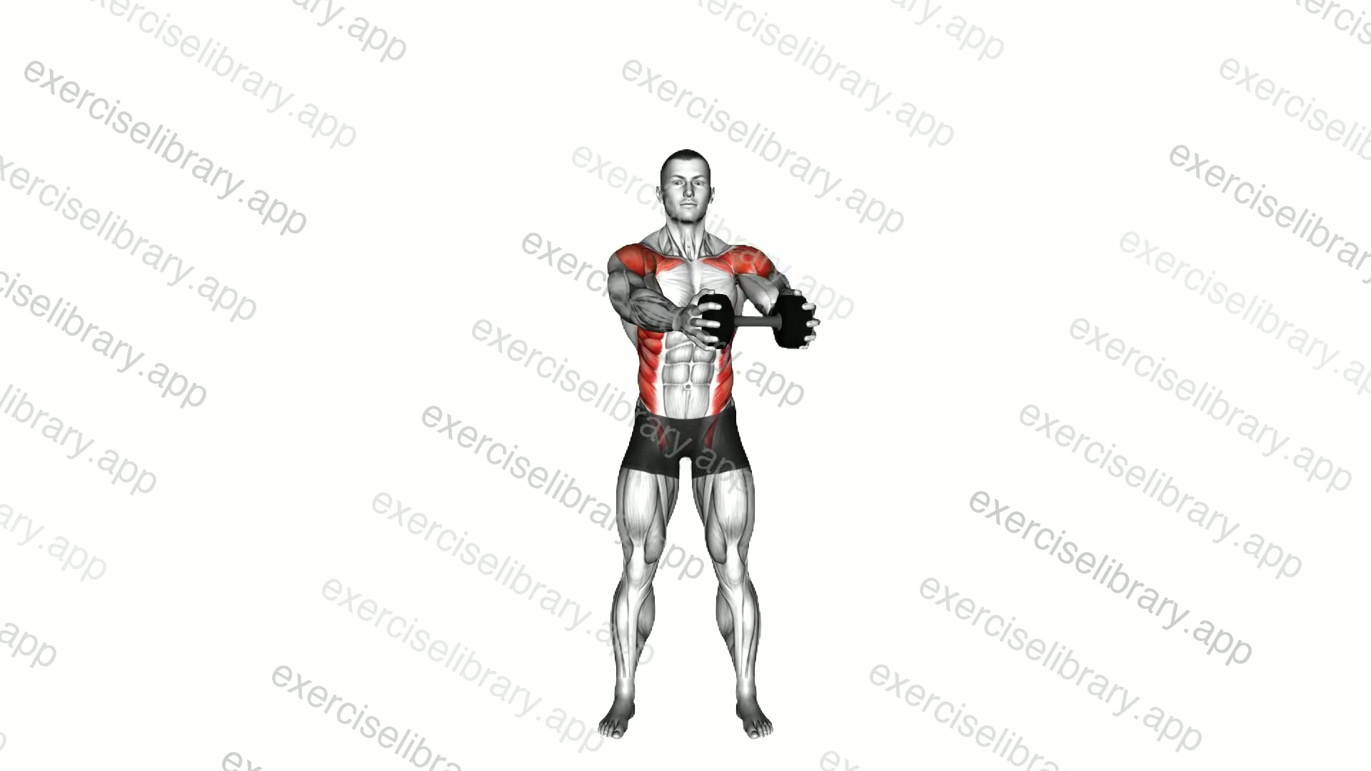 Dumbbell Standing Front Raise Twist demonstration