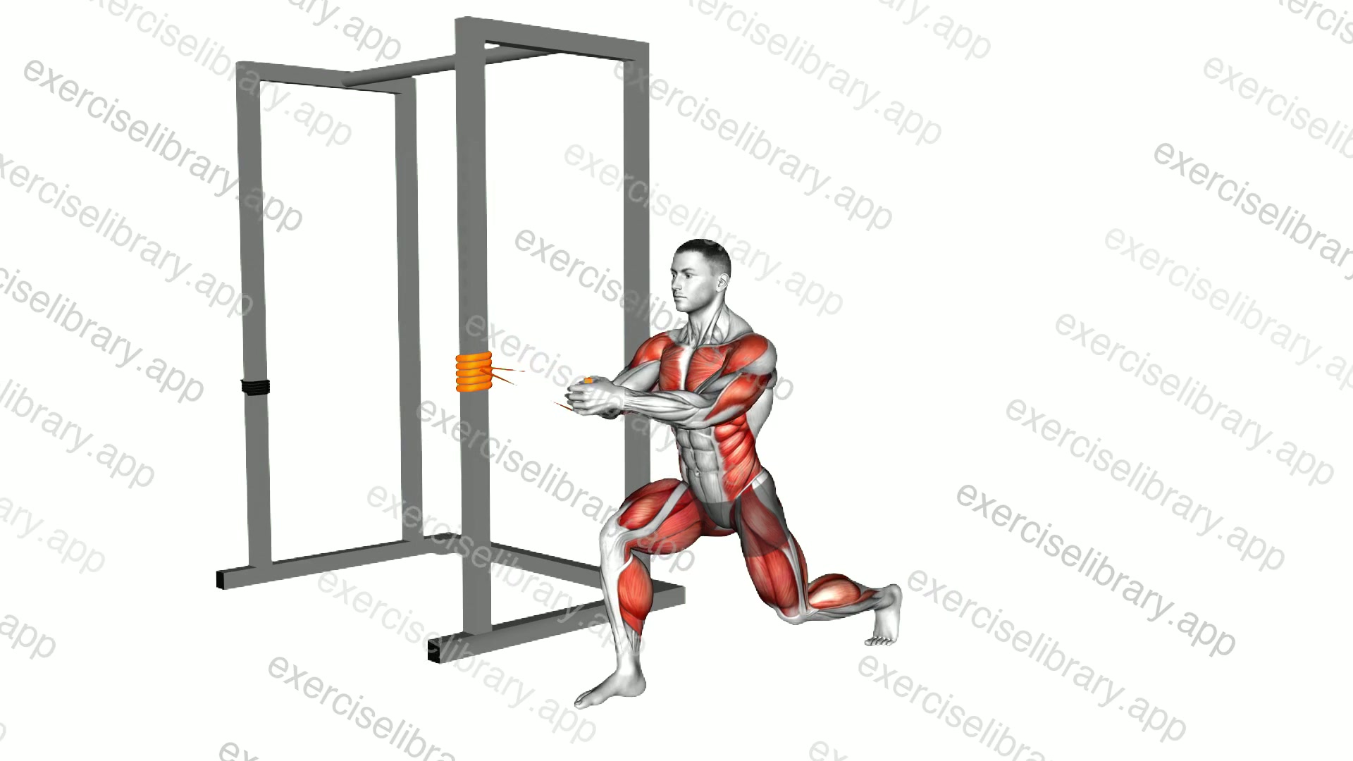 Resistance Band Alternating Split Stance Pallof Press demonstration